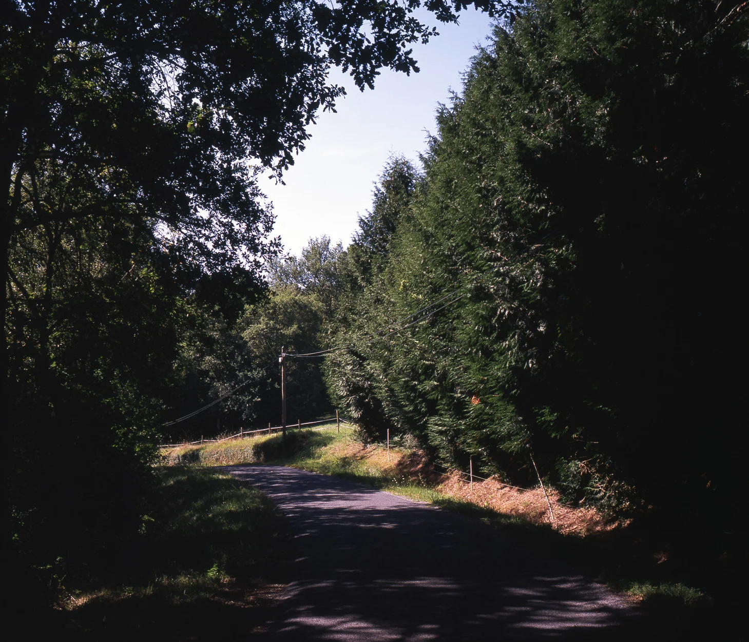 img039.jpg