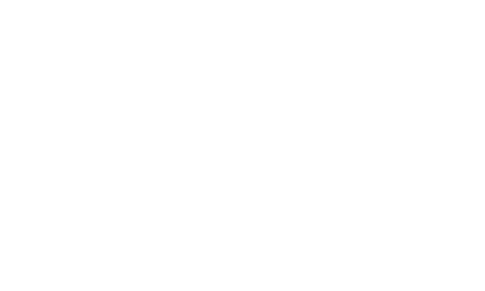 3D text reading 'The National Wedding Show' in green with a shadow on a white background.