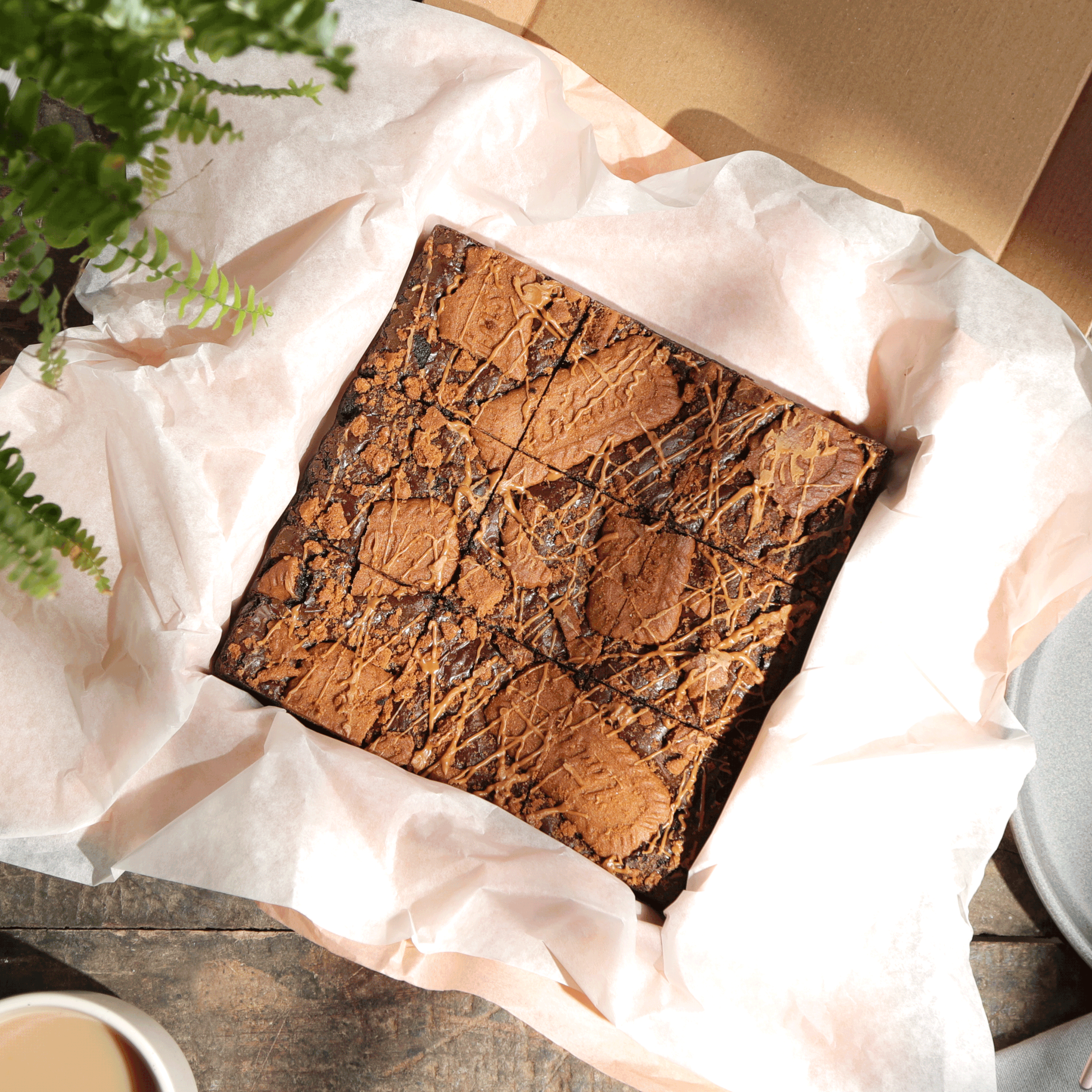 biscoff.gif
