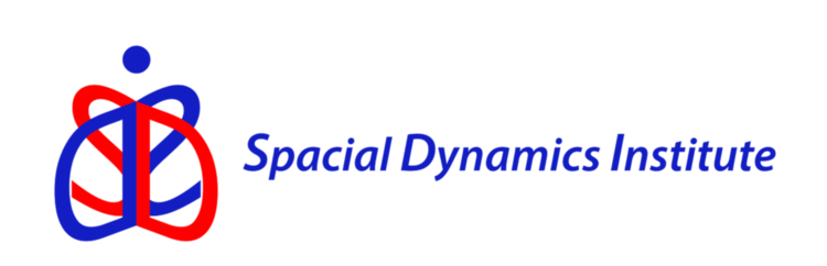 Spacial Dynamics®