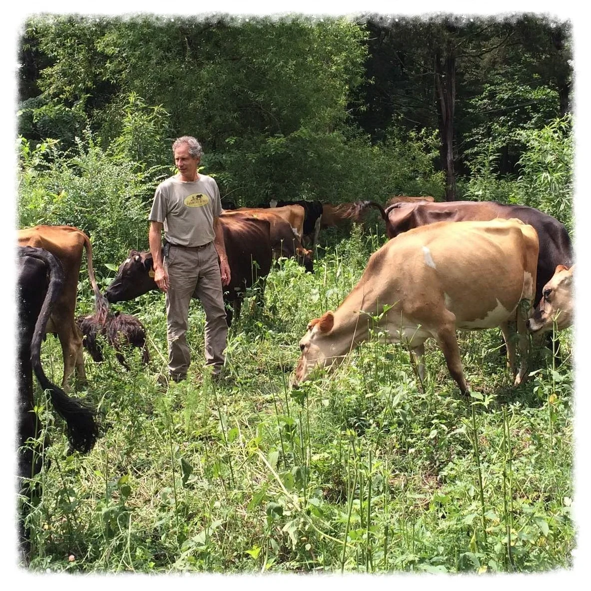 Sequatchie Cove Farm