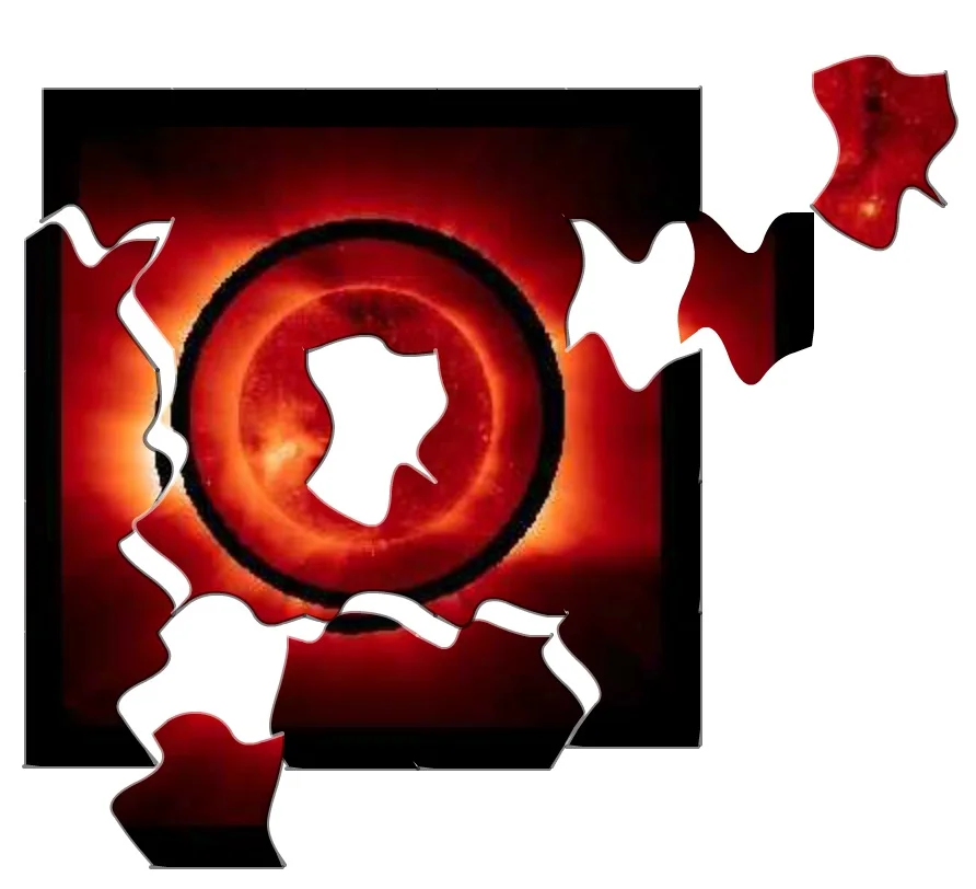 Level III D Payment Plans and Application Fee