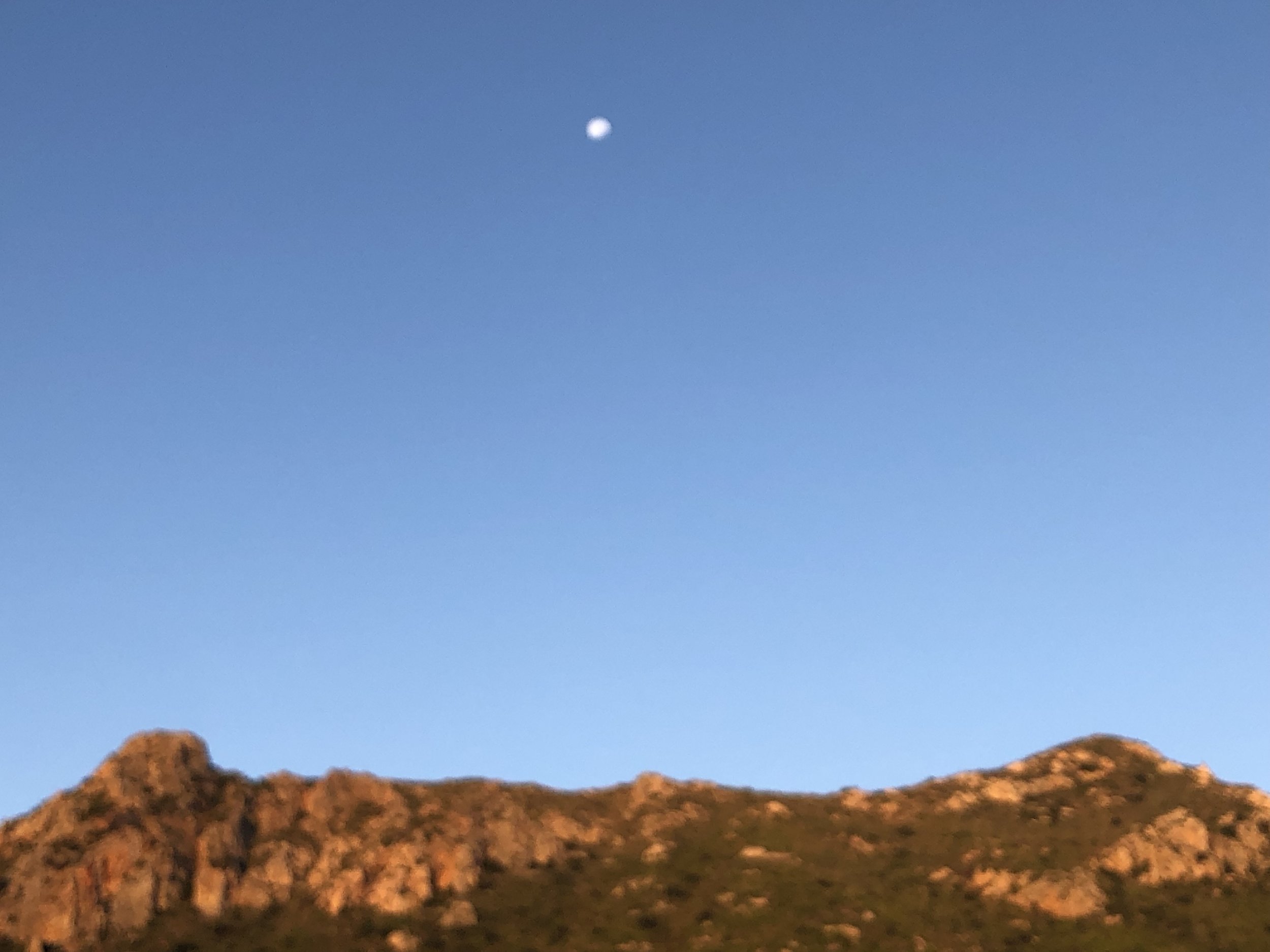 IMG_5757.jpeg