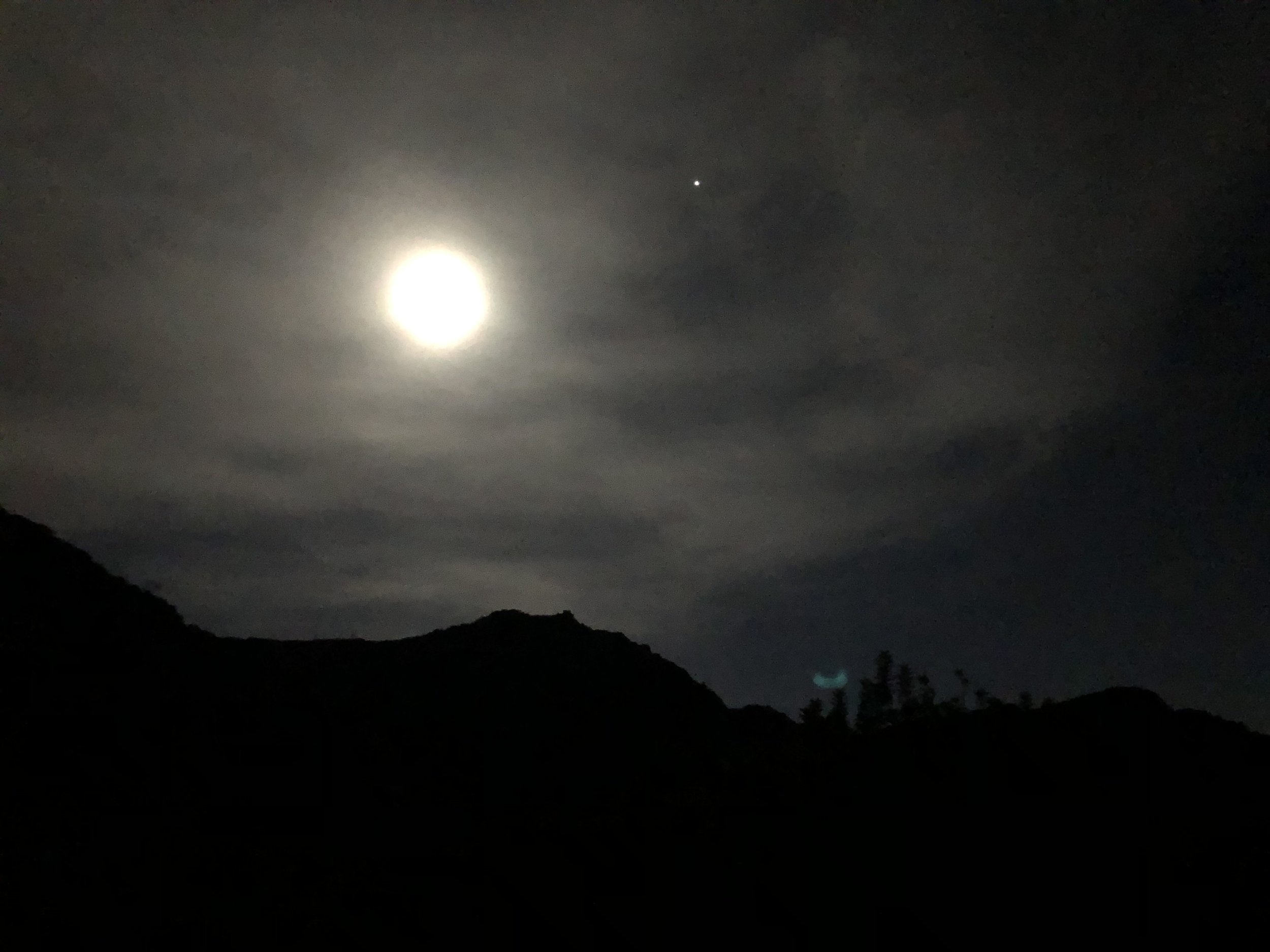 IMG_5739.jpeg