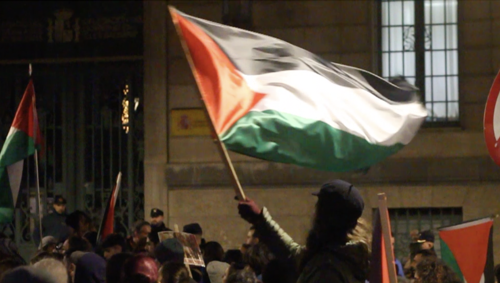 PALESTINE SINGLE FLAG.png