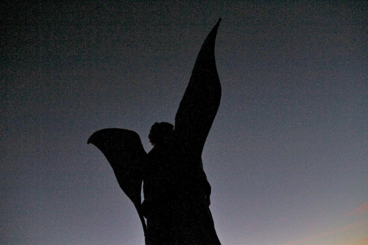 angel dark 2 IMG_0884.jpg