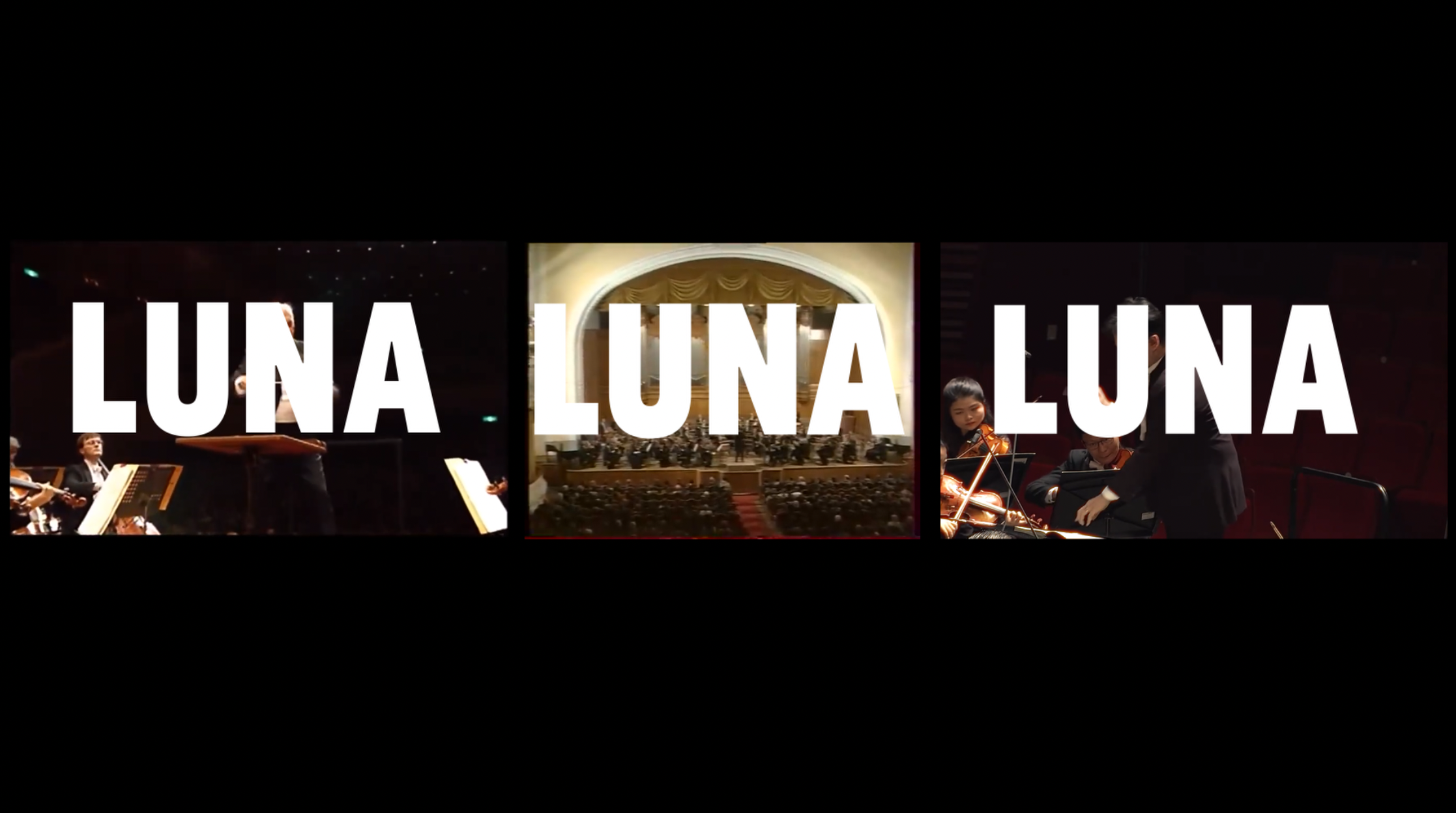 LUNA LUNA LUNA.png