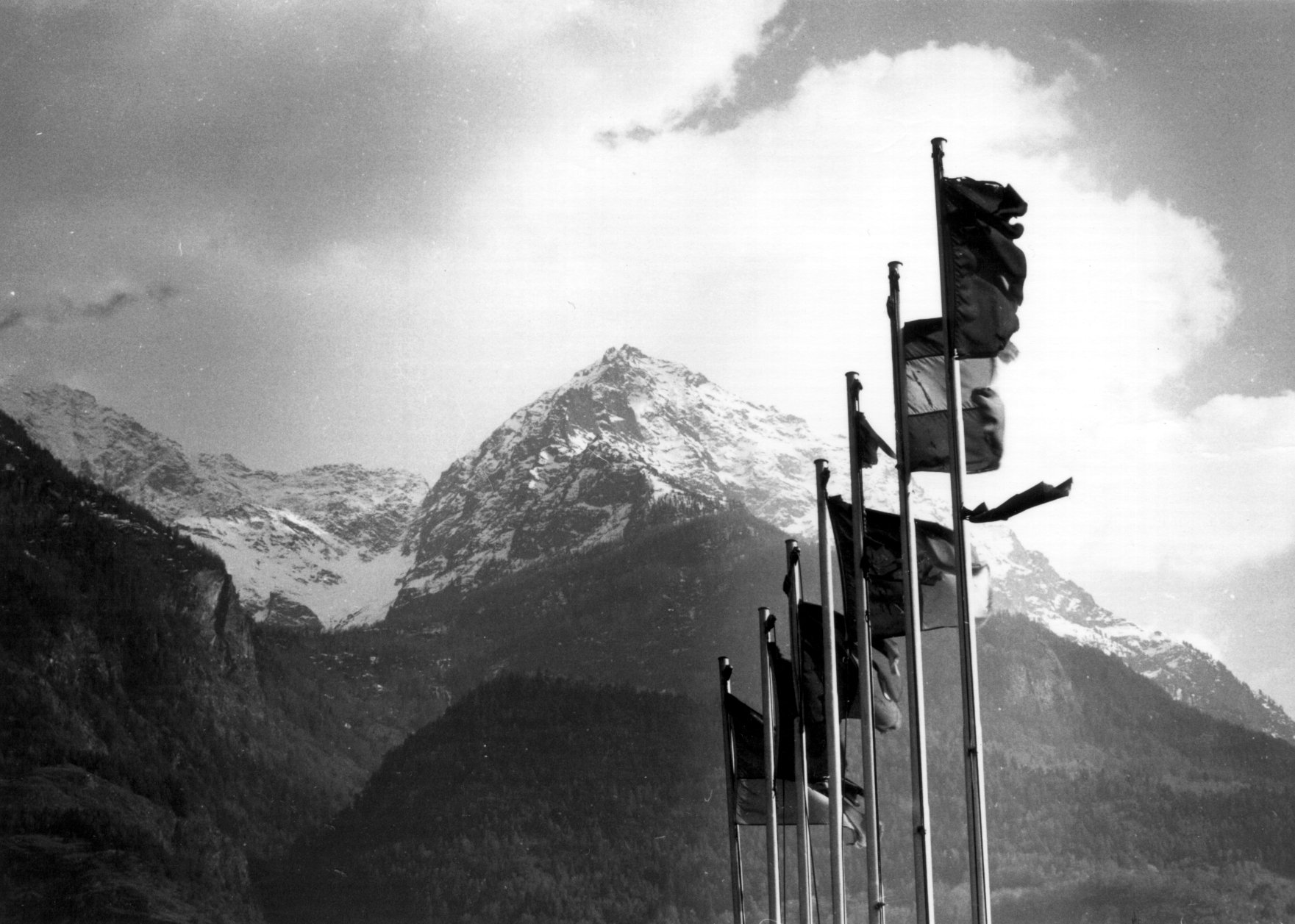 11 flags.jpg