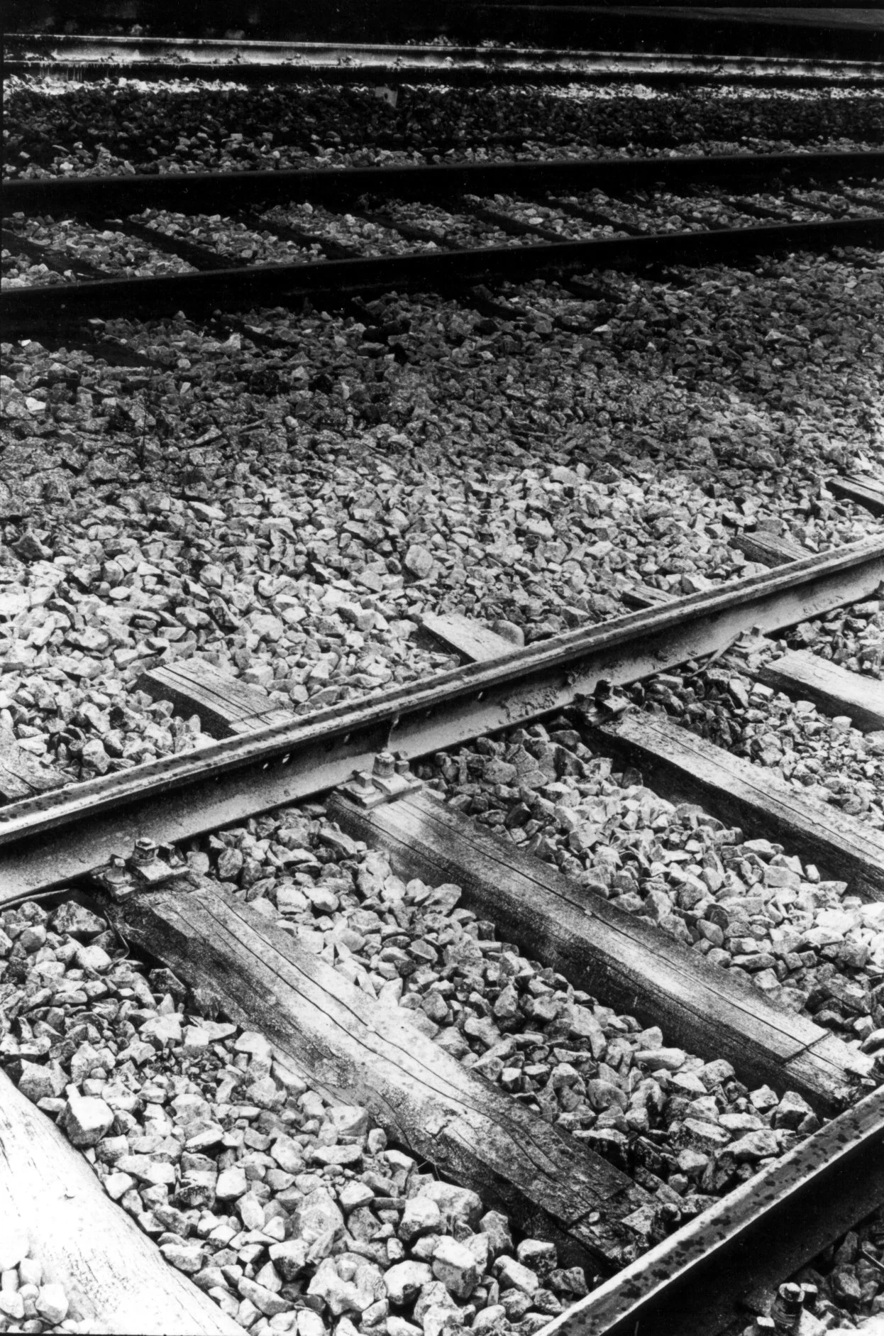 19 rails.jpg