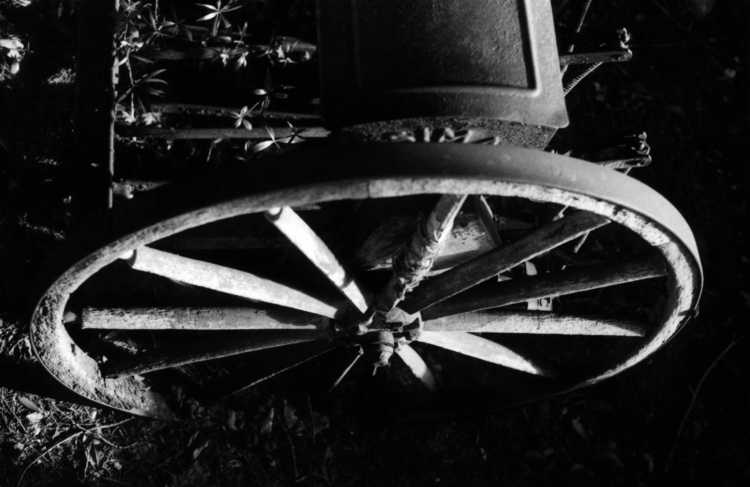 wheel.jpg