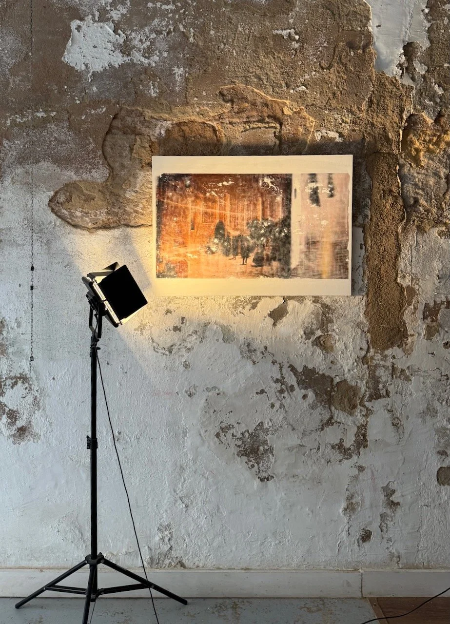 IMG_1649.jpeg