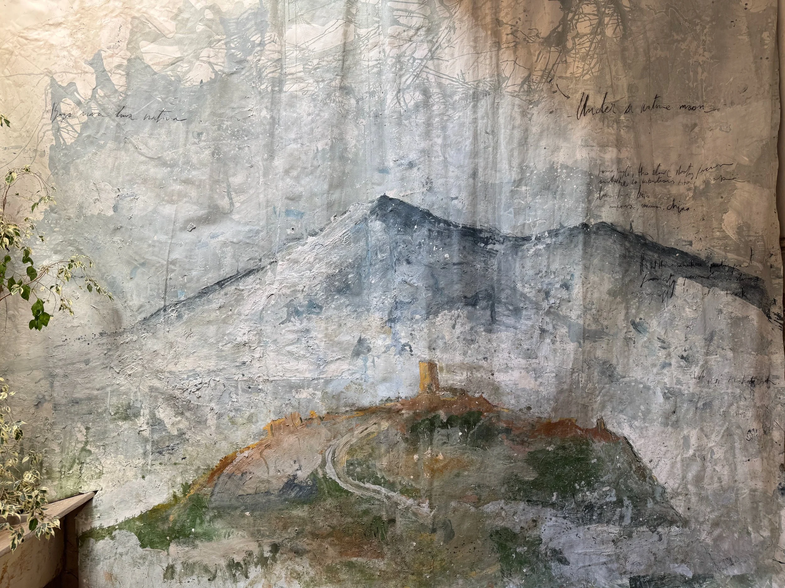 MOUNTAIN_1632.jpeg