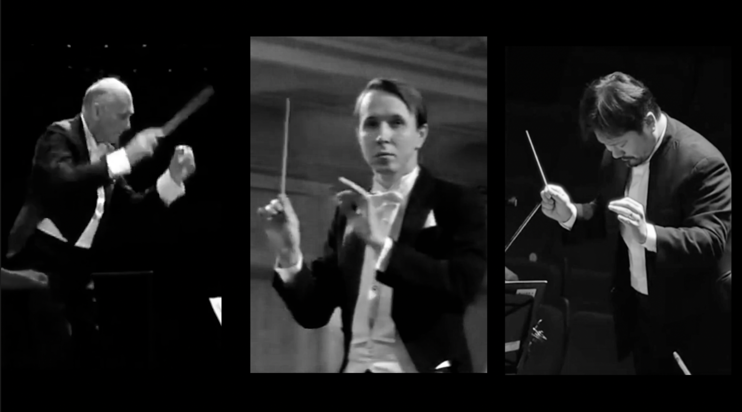 3 CONDUCTORS UNFLIPPED.png