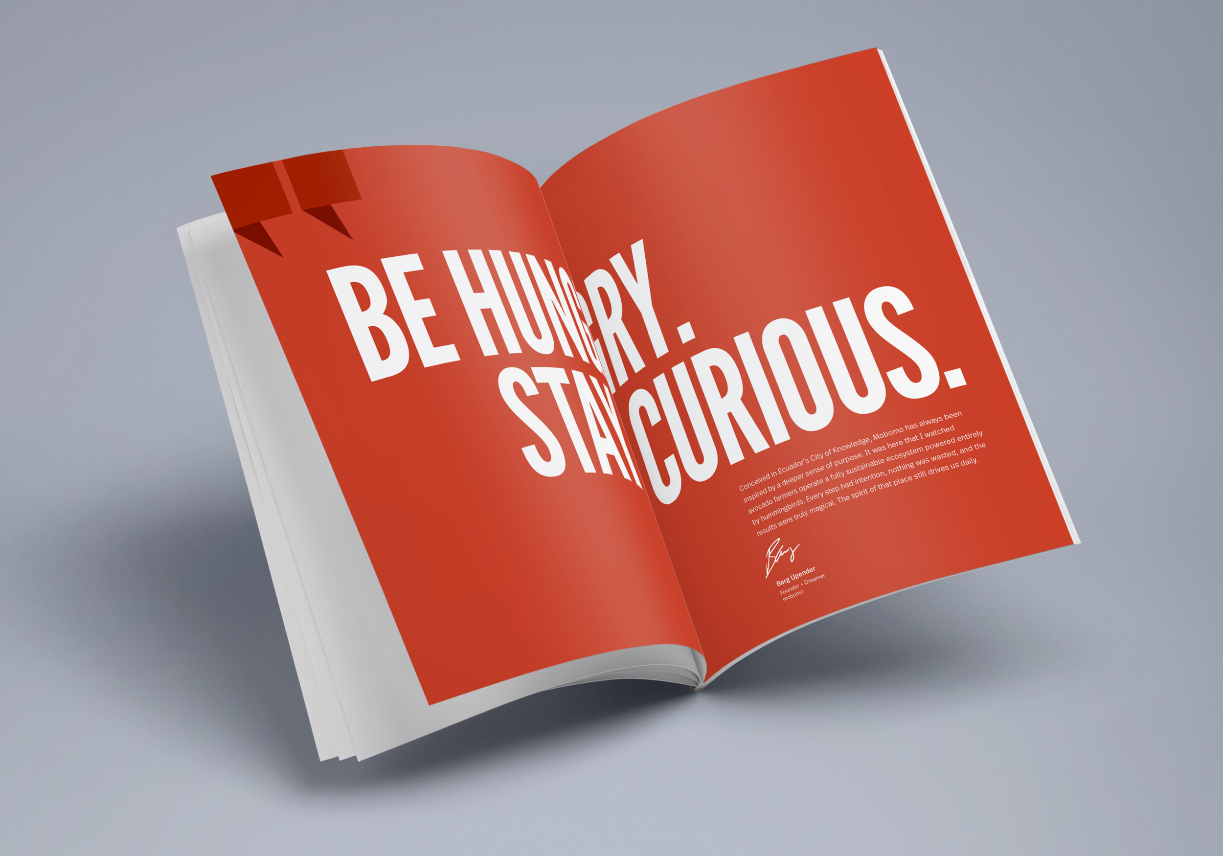 - Mobomo Brand Book_intro.png