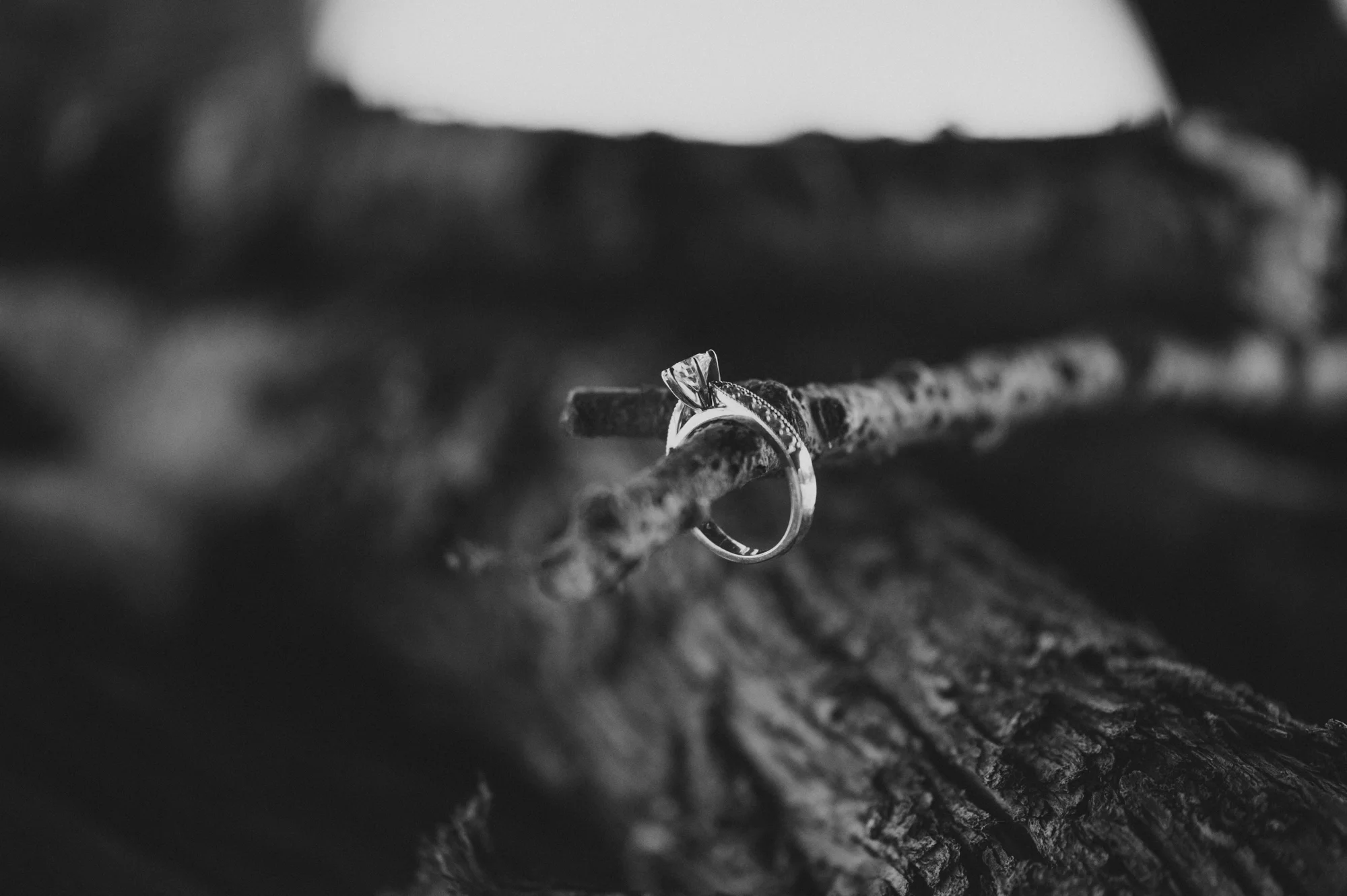 JaimeJack_JDP-8112.jpg