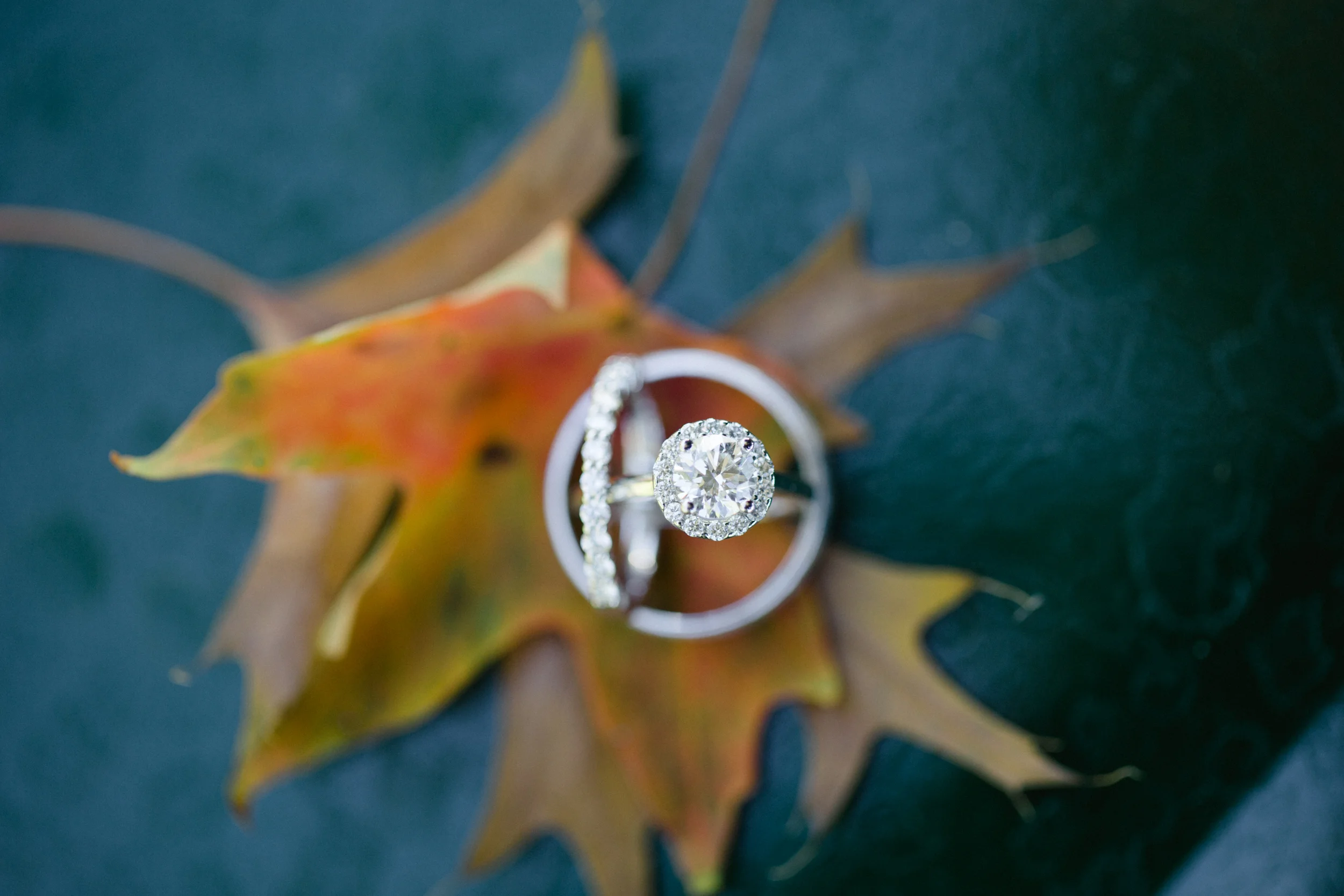 Scranton Wedding Photographers-6218.jpg