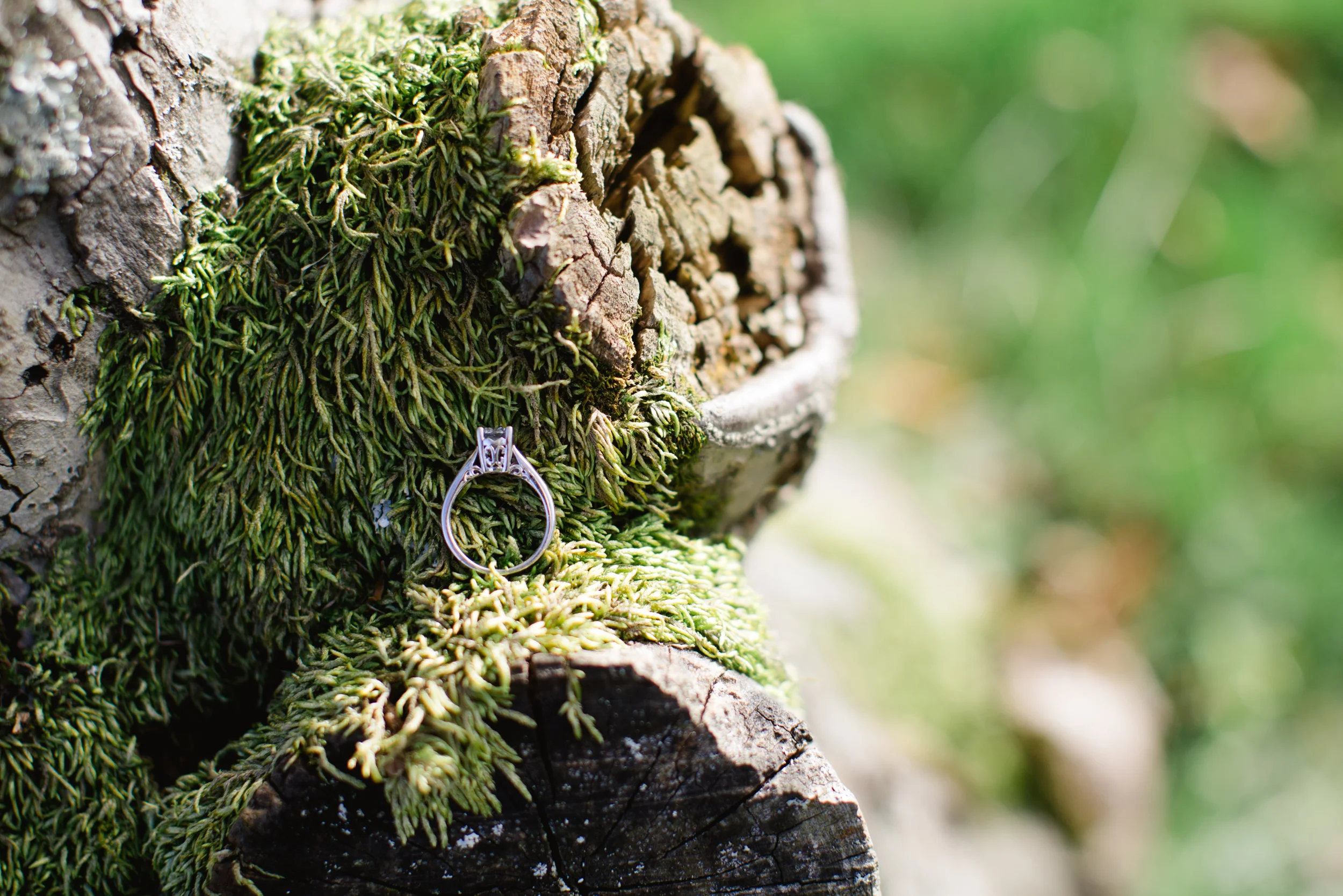 Scranton Wedding Photographers-3684.jpg