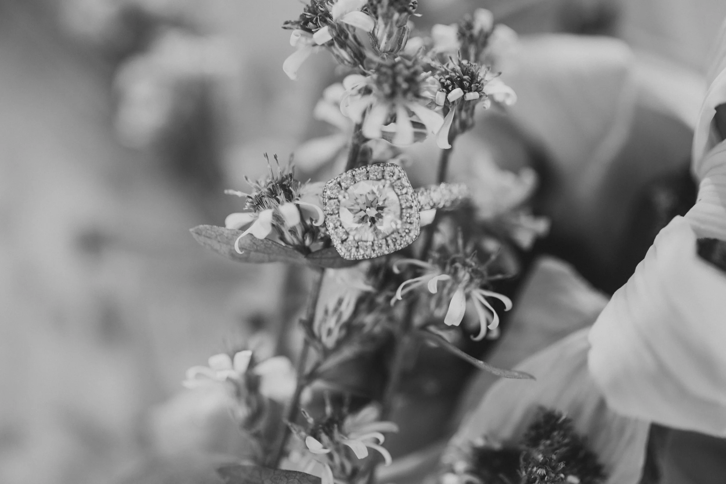Rustic Scranton PA Engagement Session Photographers_JDP-19.jpg