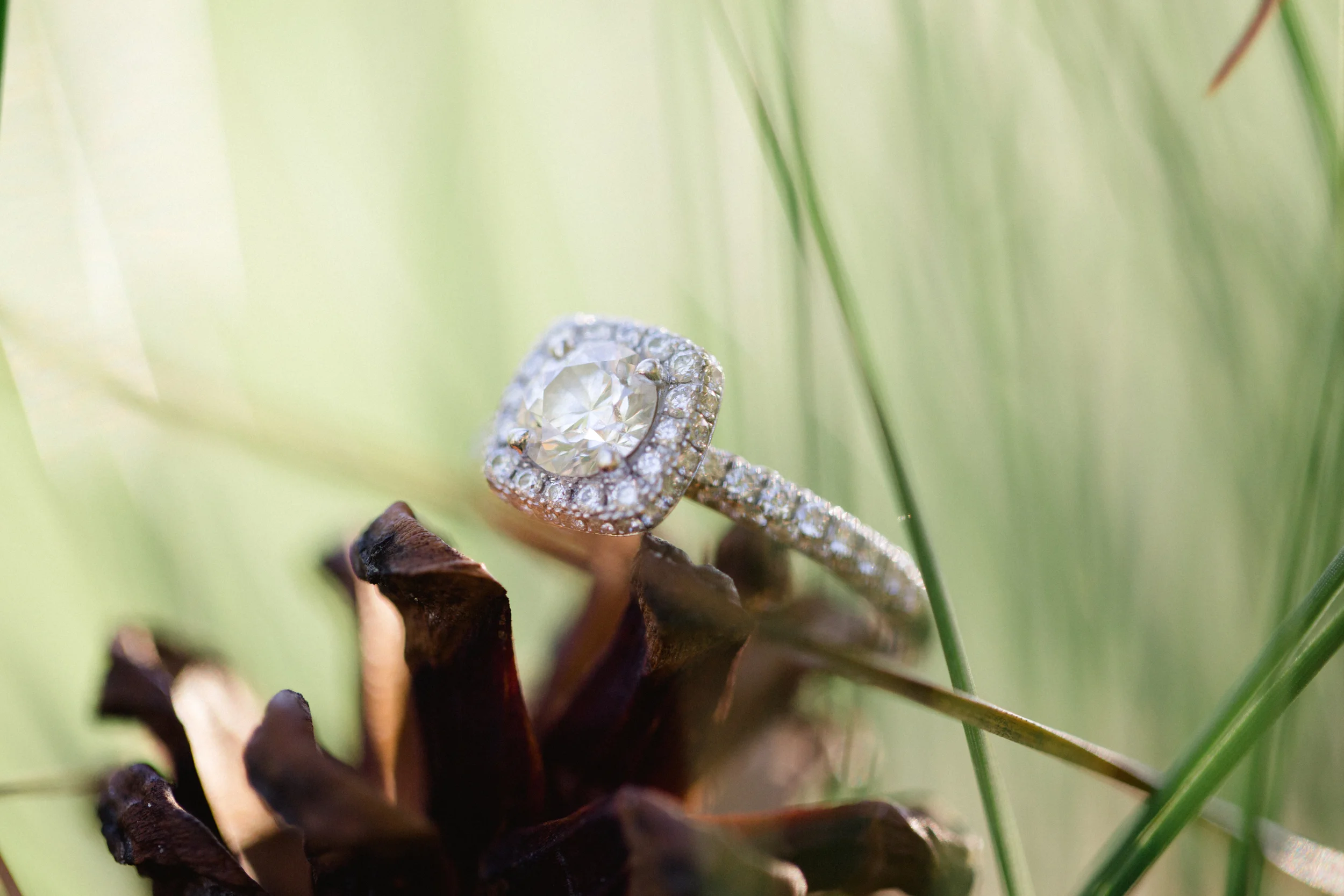 Rustic Scranton PA Engagement Session Photographers_JDP-20.jpg