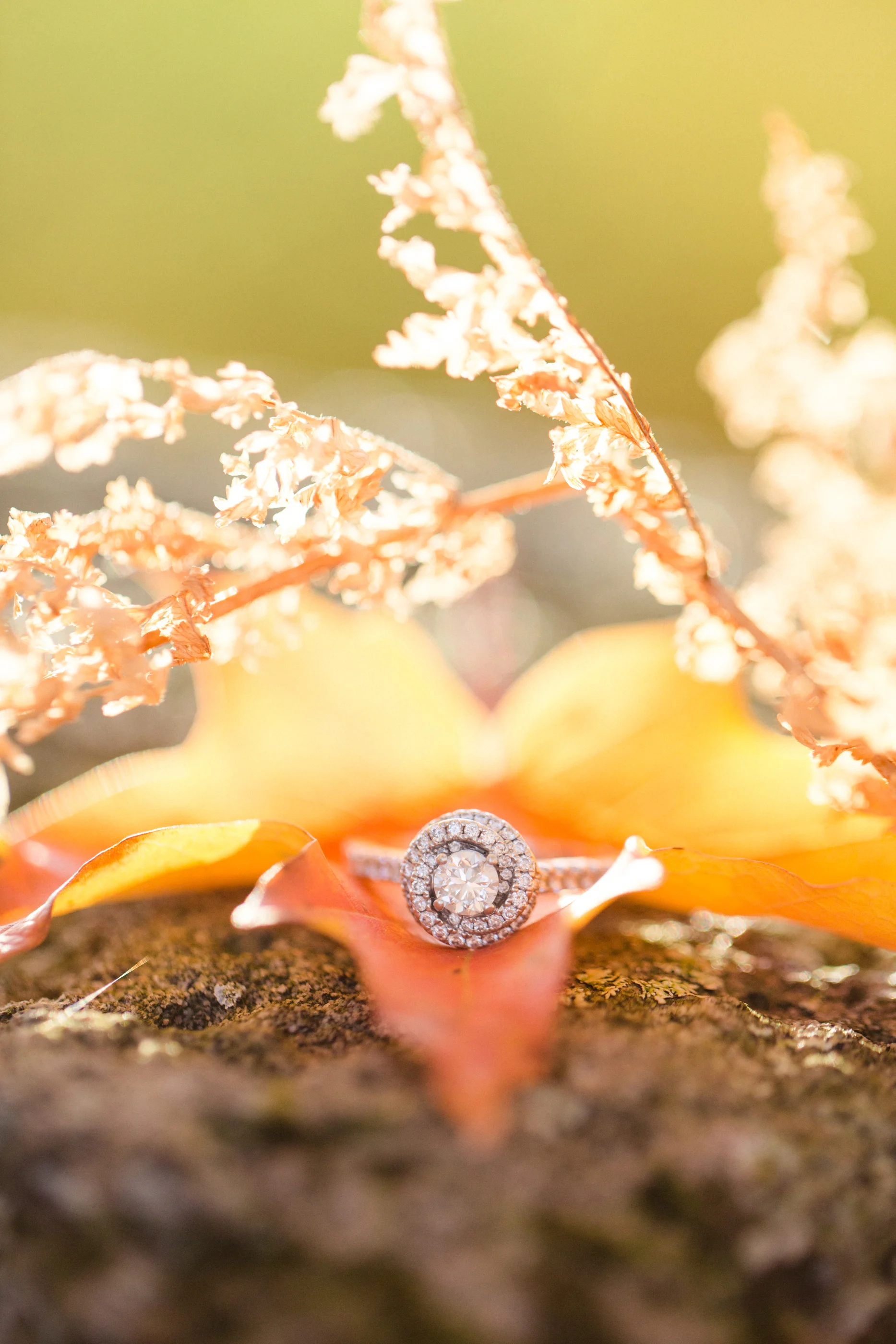 Scranton PA Wedding Photographers_JDP-37.jpg
