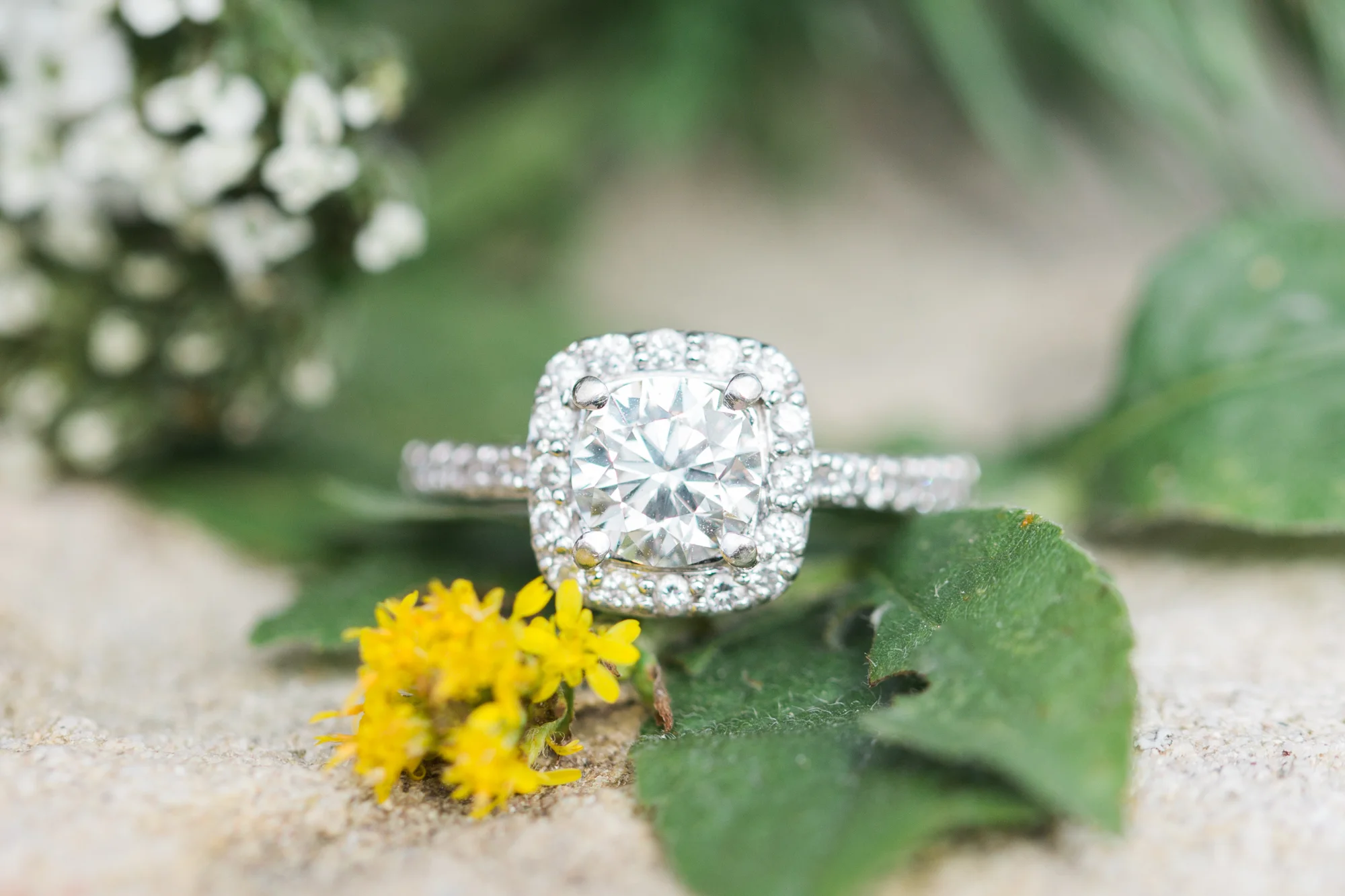 Rustic PA Engagement Session Jordan DeNike_JDP-19.jpg