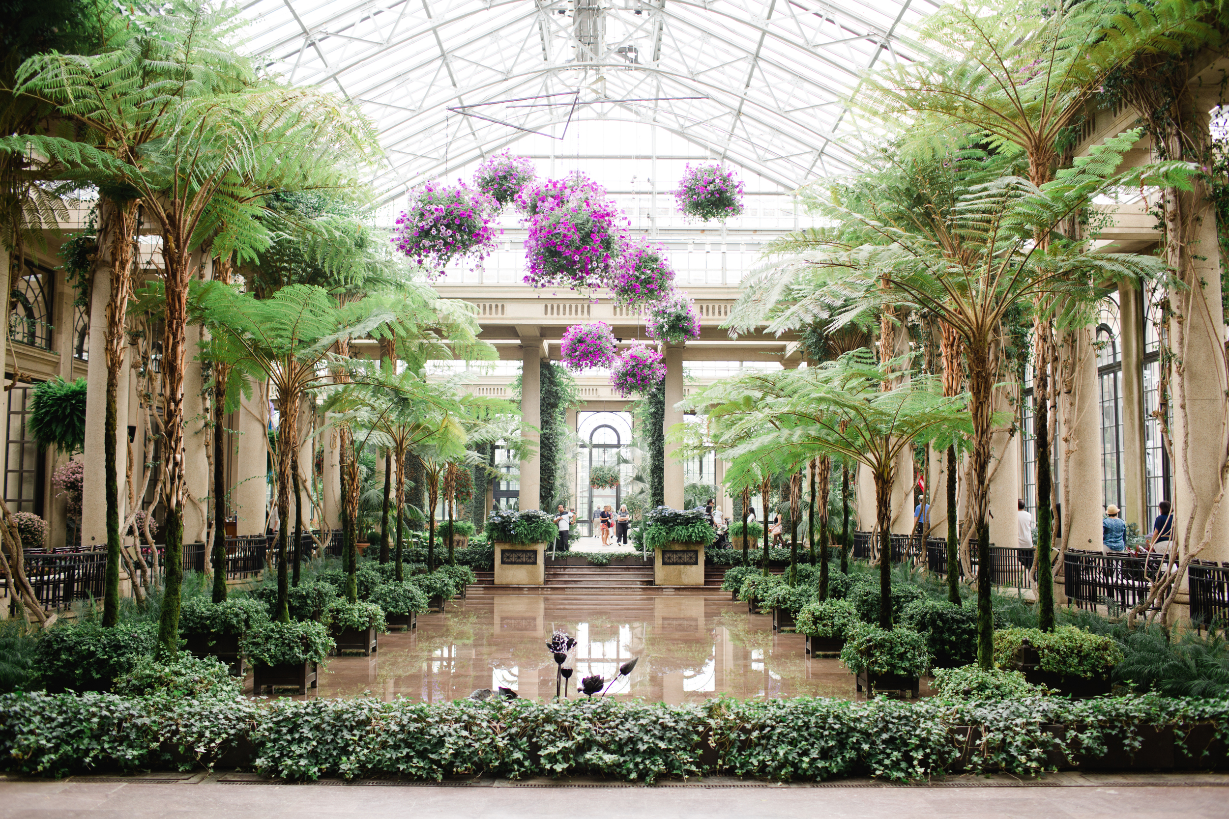 Longwood Gardens Engagement Photography Jordan DeNike_JDP-2.jpg