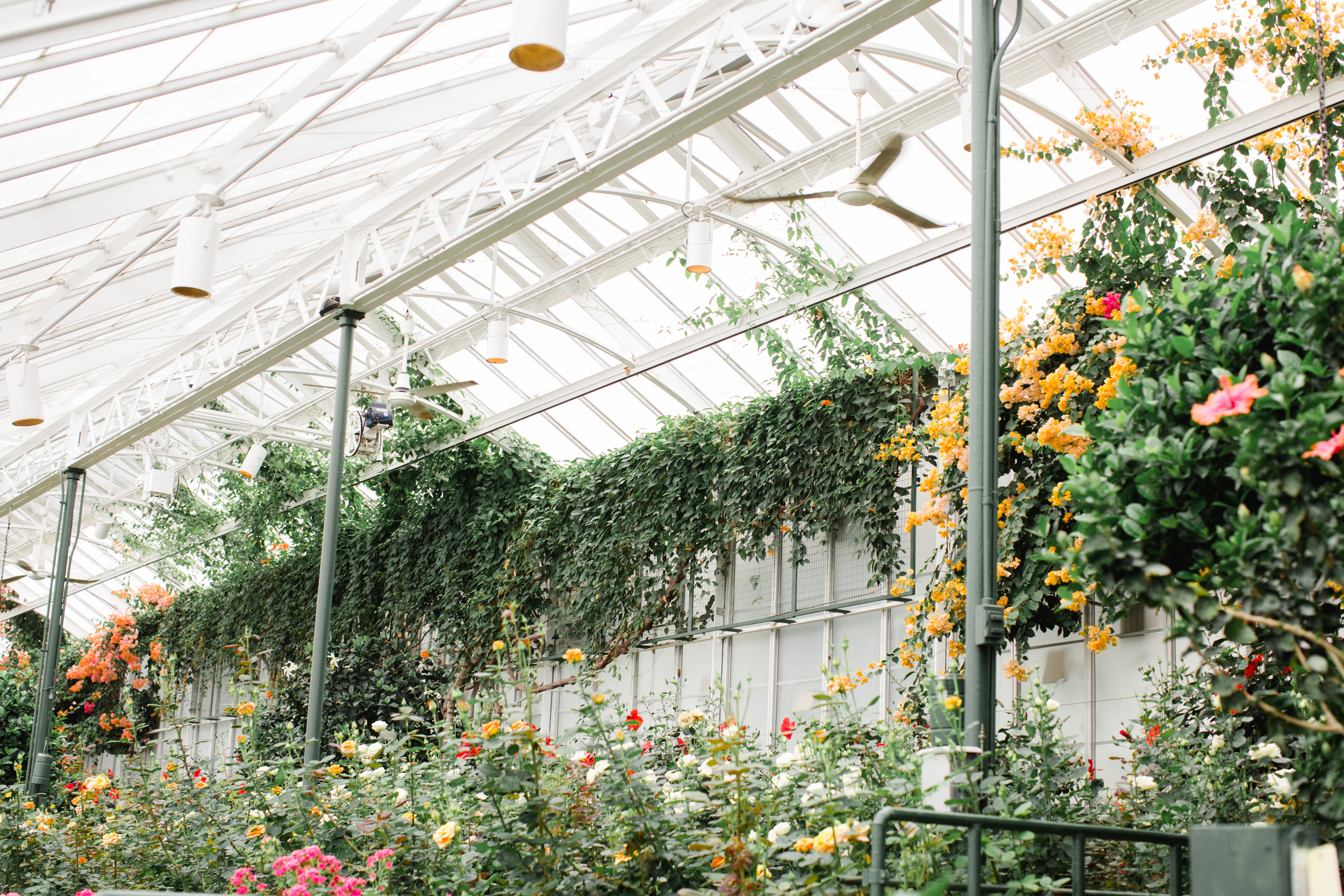 Longwood Gardens Engagement Photography Jordan DeNike_JDP-36.jpg