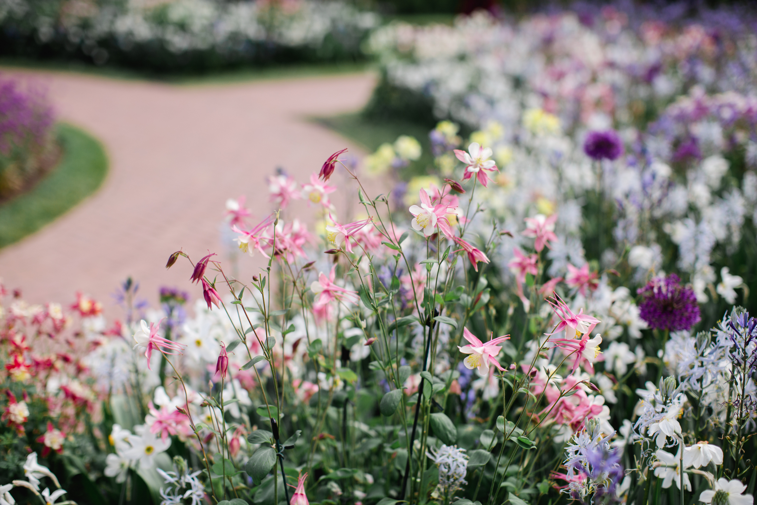 Longwood Gardens Engagement Photography Jordan DeNike_JDP-92.jpg