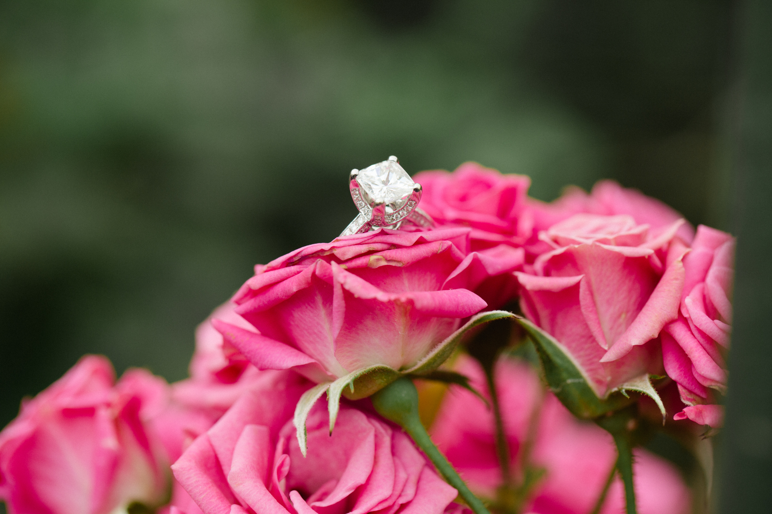 Longwood Gardens Engagement Photography Jordan DeNike_JDP-99.jpg