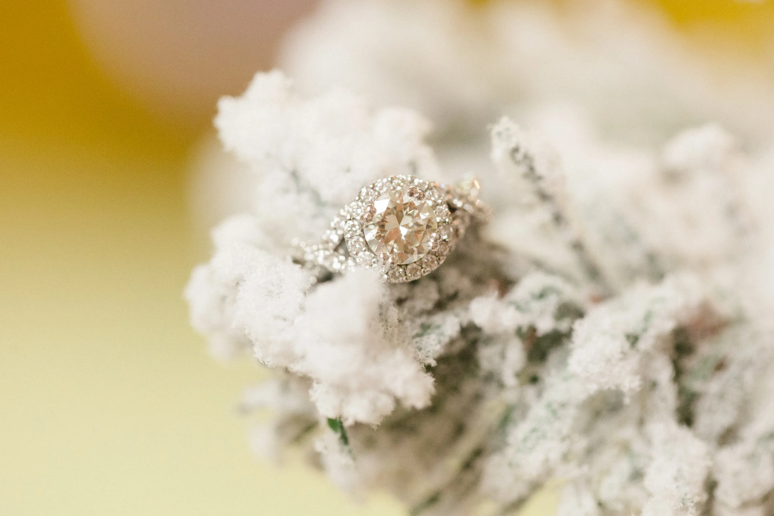 Scranton PA Wedding Photographers Macro Ring Shot_JDP-7852.jpg