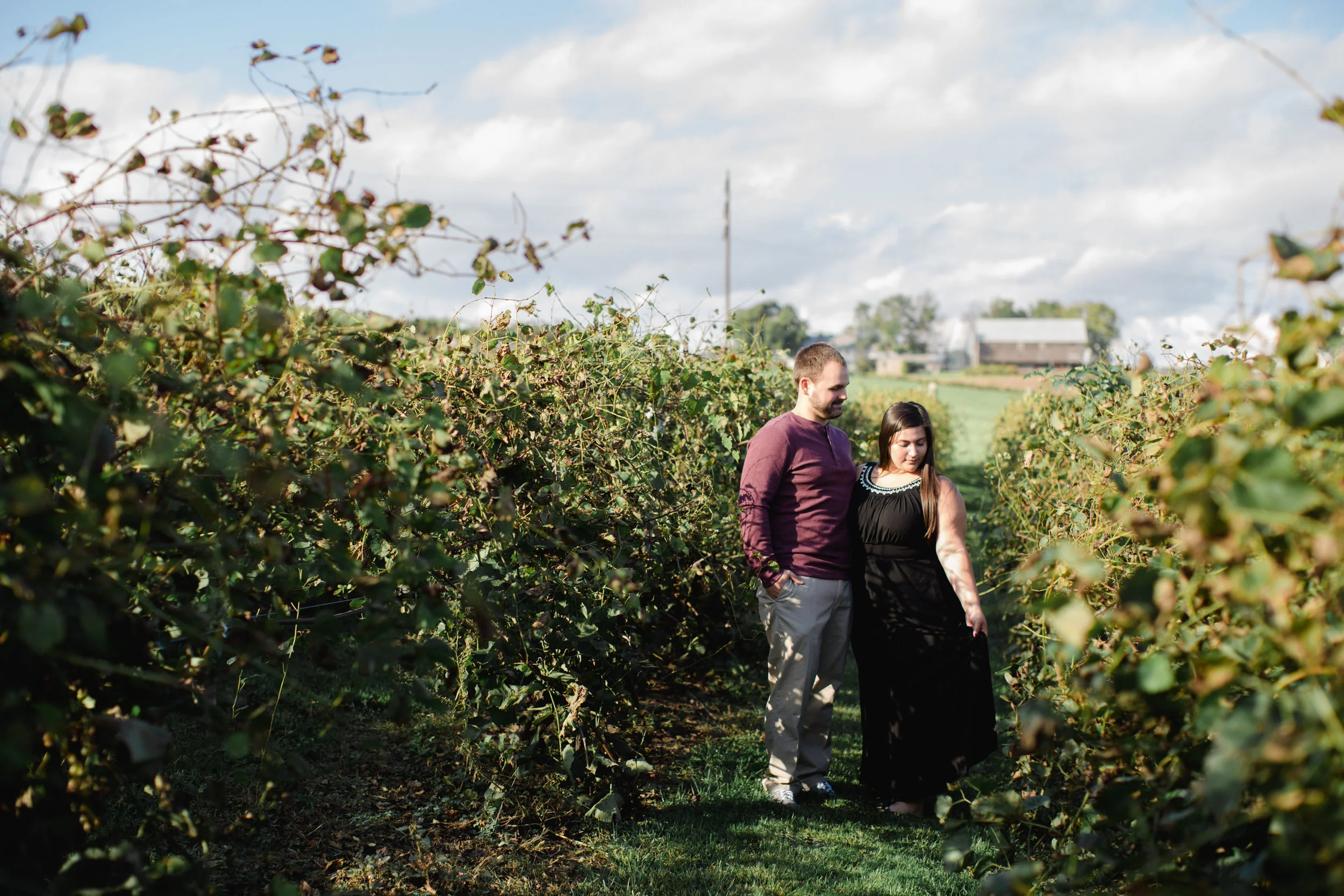 Scranton Pittsburg Hershey PA Wedding Photographers Fall Engagement Session_JDP-7575.jpg