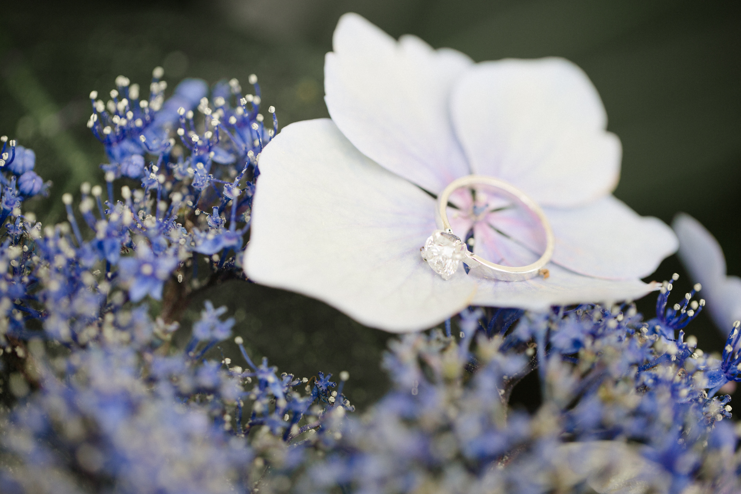 Longwood Gardens Engagement Session Philly Photographers_JDP Instagram-3.jpg