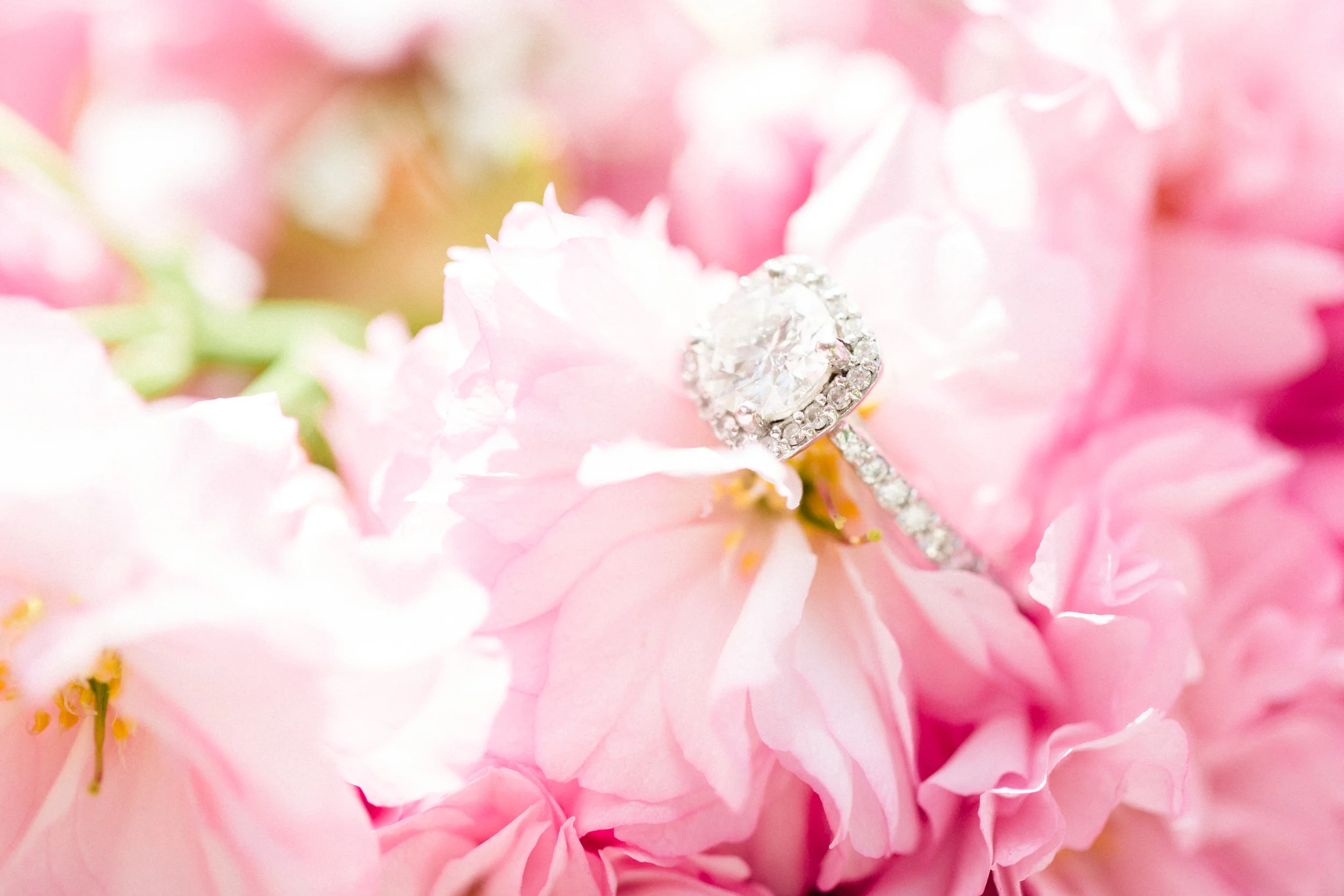 Scranton PA Engagement Sessio Photos Wedding Photographers_JDP-42.jpg