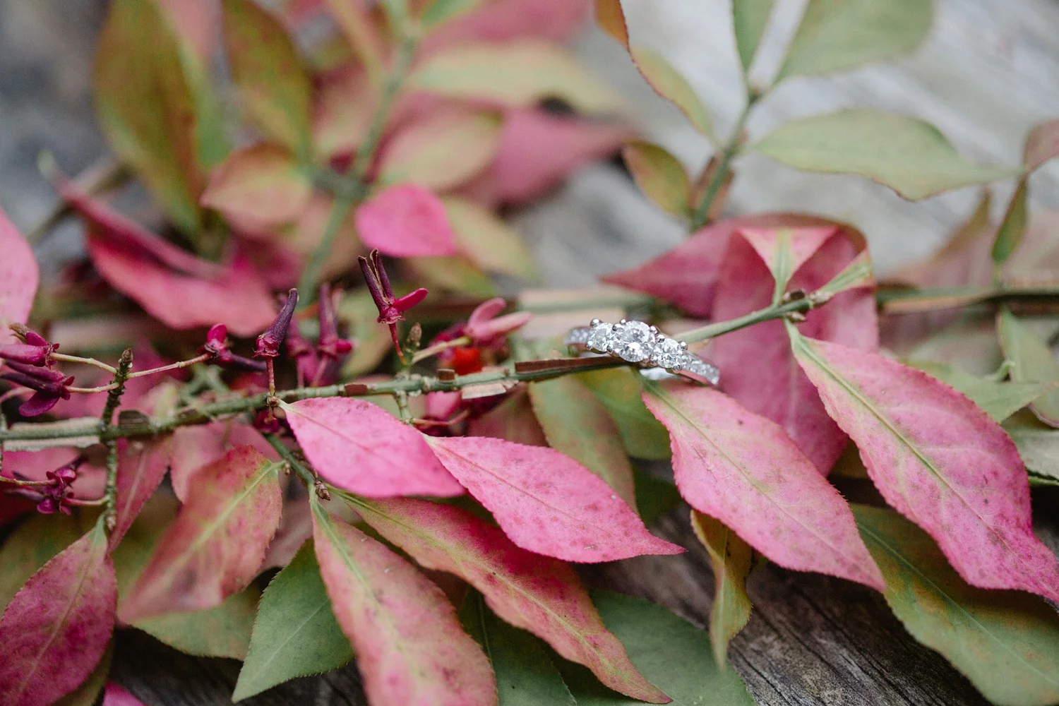Moffatt Estate Moscow PA Engagement Session_0041.jpg