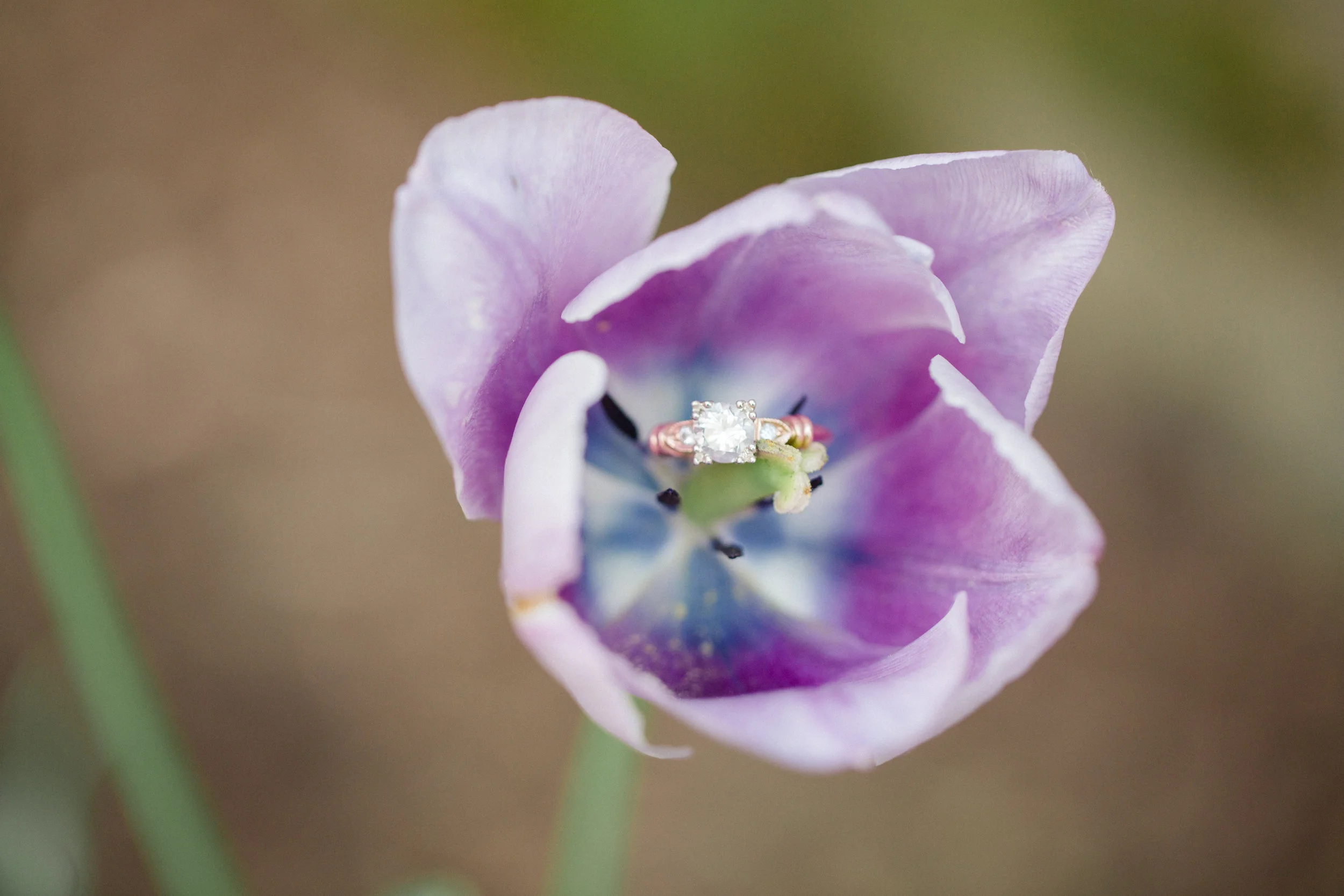 Scranton PA Spring Engagment Session_JDP-37.jpg