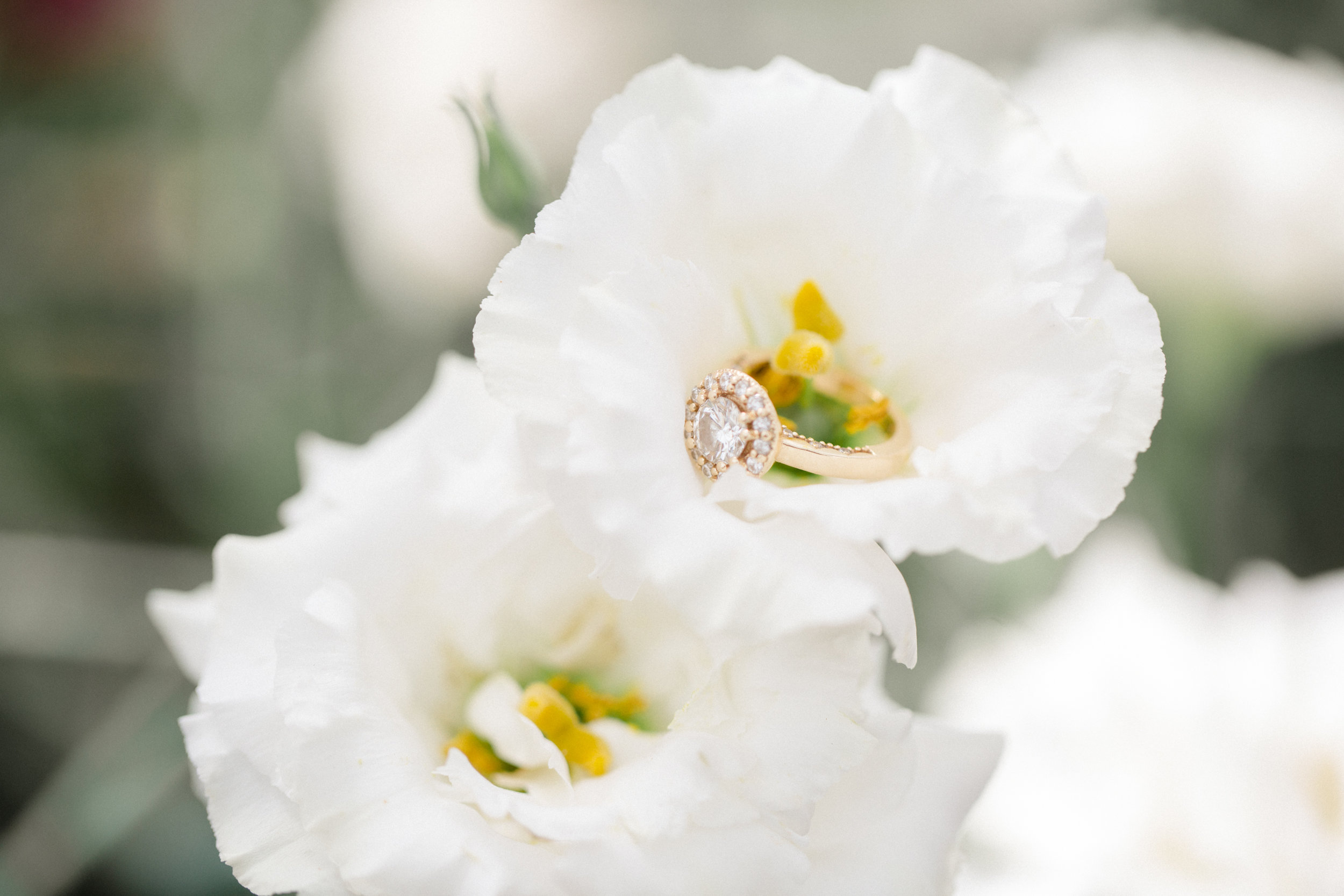 Longwood Gardens Engagement Session_JDP-58.jpg