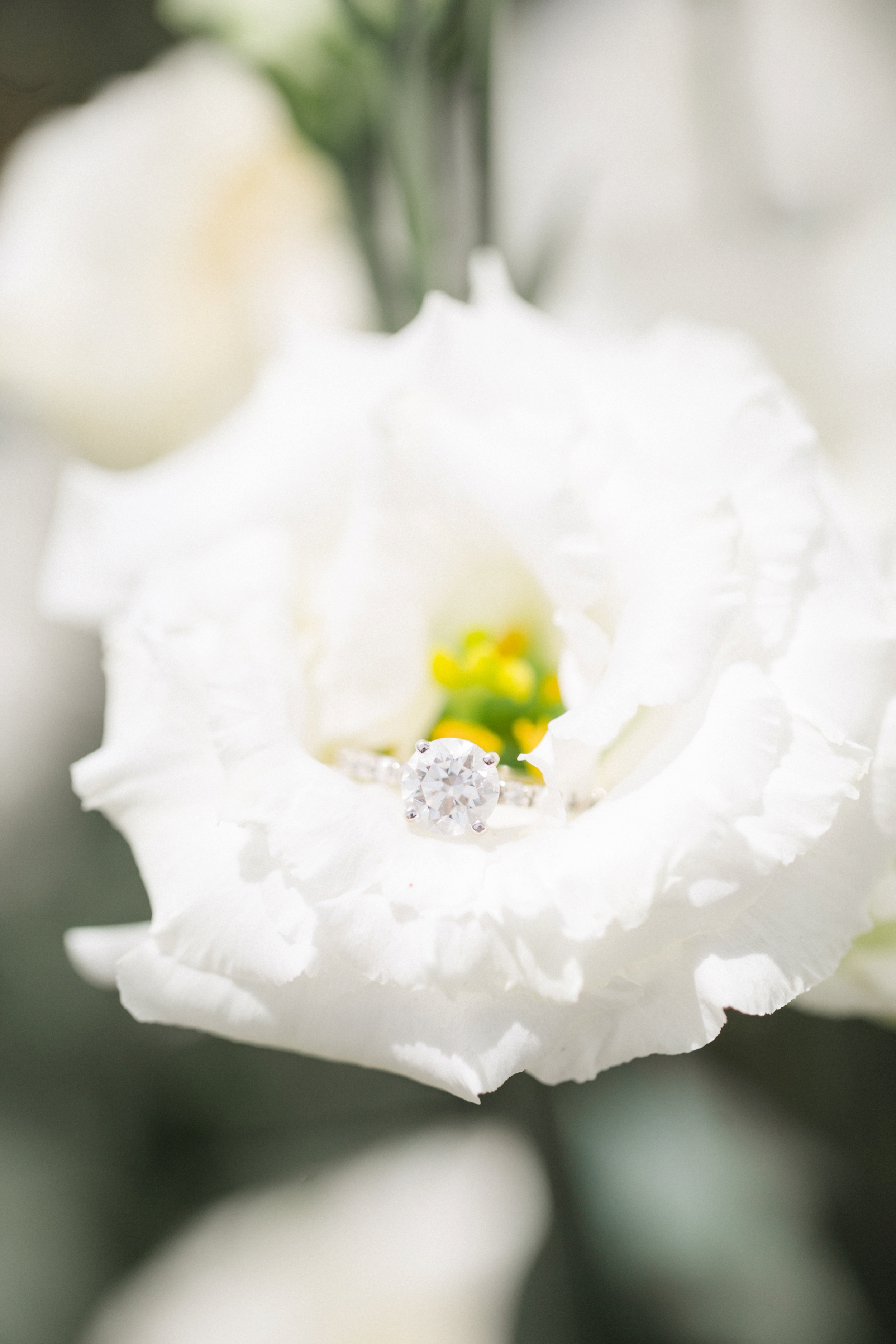 Summer Longwood Gardens Engagement Session_0036.jpg