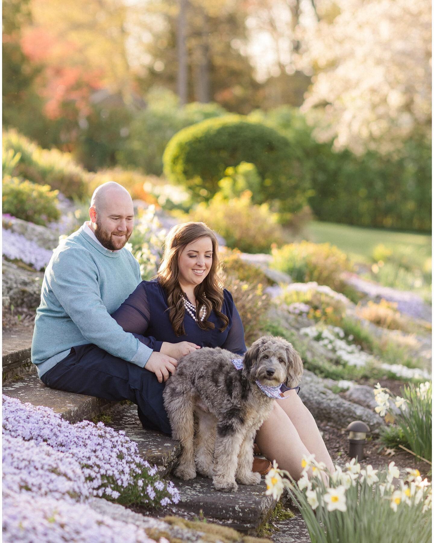 Ashley + Jordan | Look at this sweet little furry face who came for photos the other night 😍 loved finally getting to meet Ashley + Jordan in person and start my spring season off with the prettiest engagement session. Here are a few favorites from 