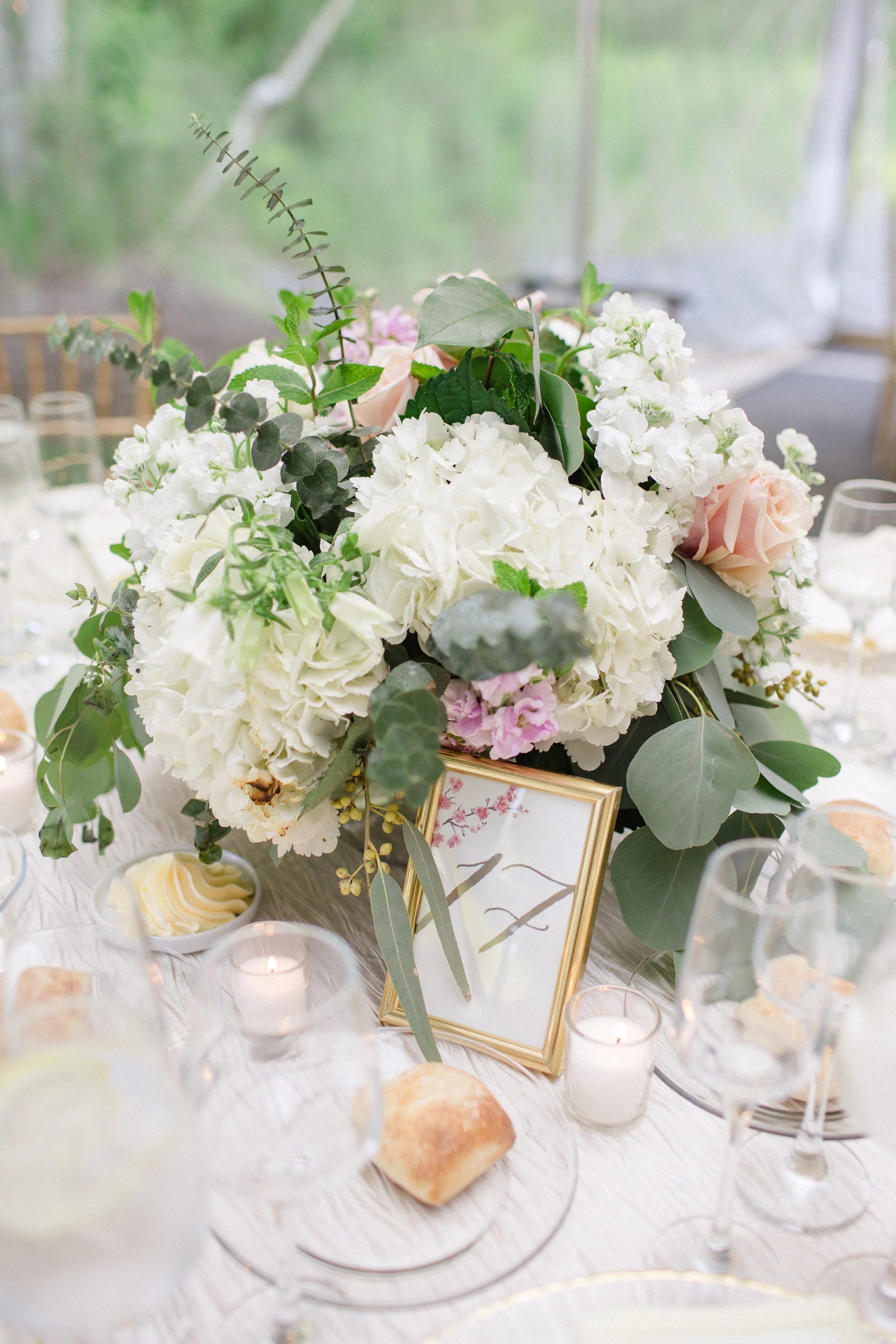 HIGHLIGHTS Kate Louis_JDP-116.jpg