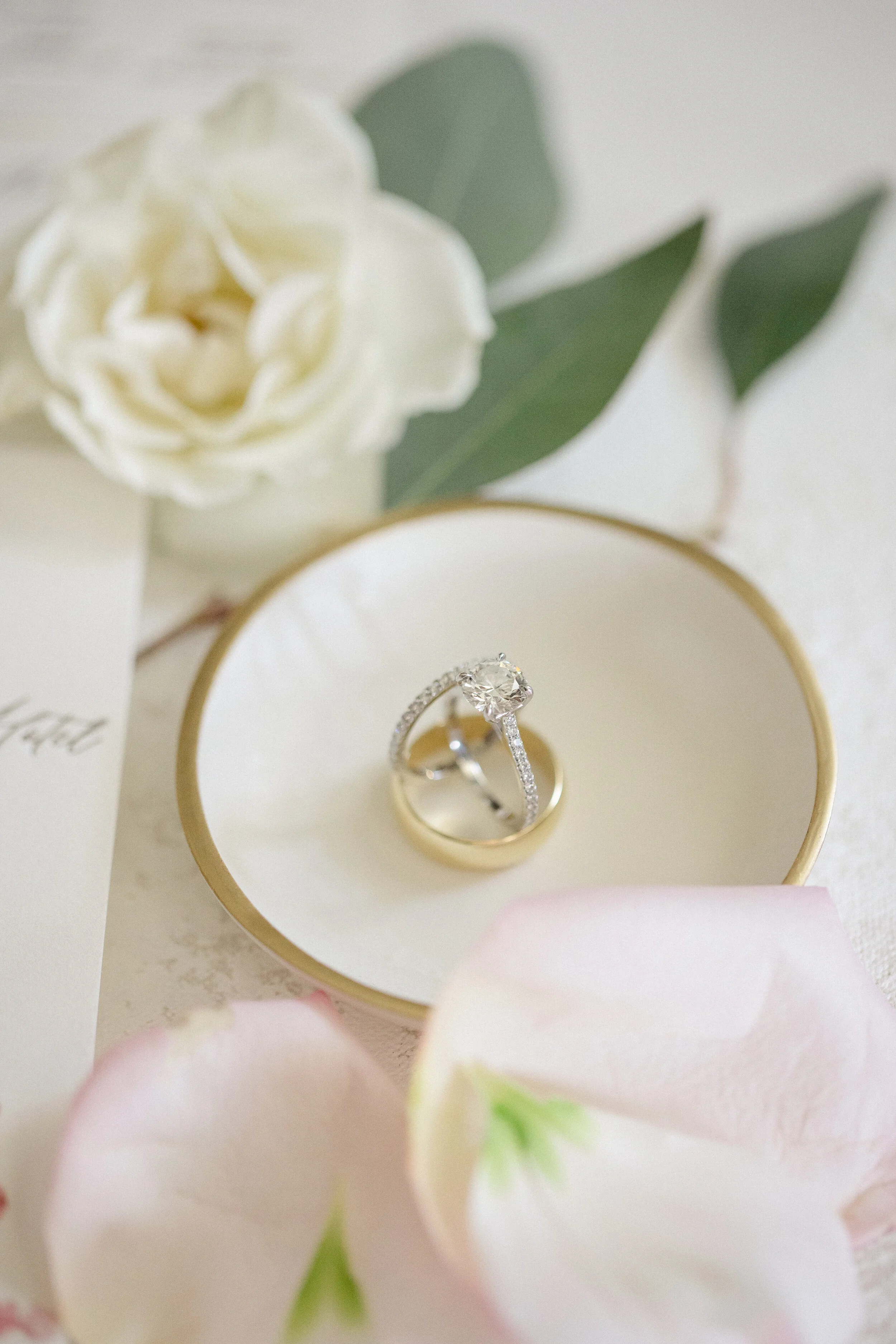 HIGHLIGHTS Kate Louis_JDP-5.jpg