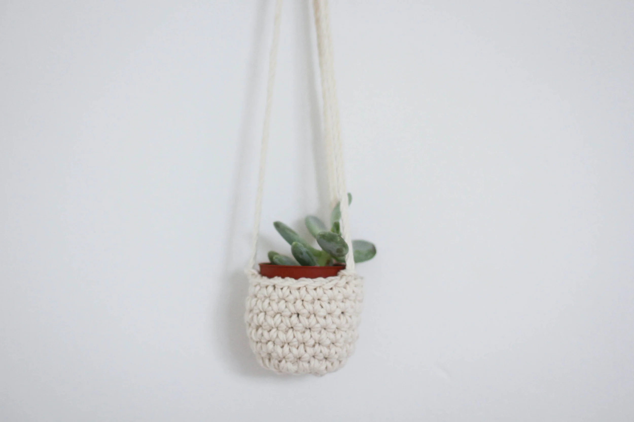 mini succulent plant hanger