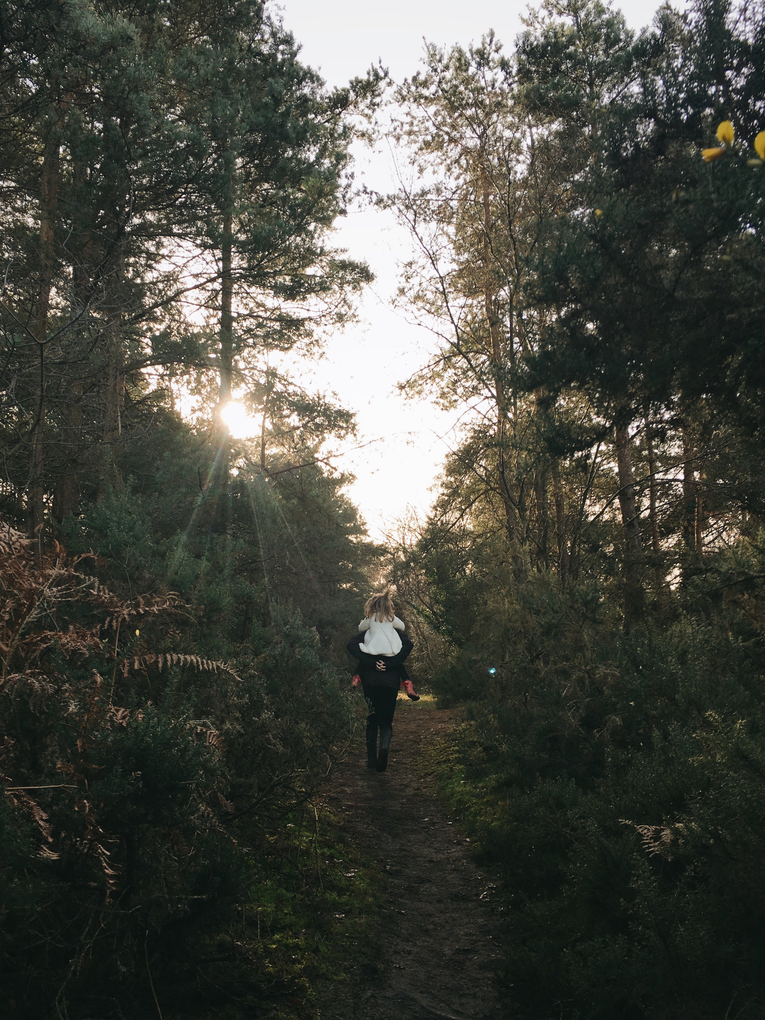 christmas 2016 | carolyn carter blog