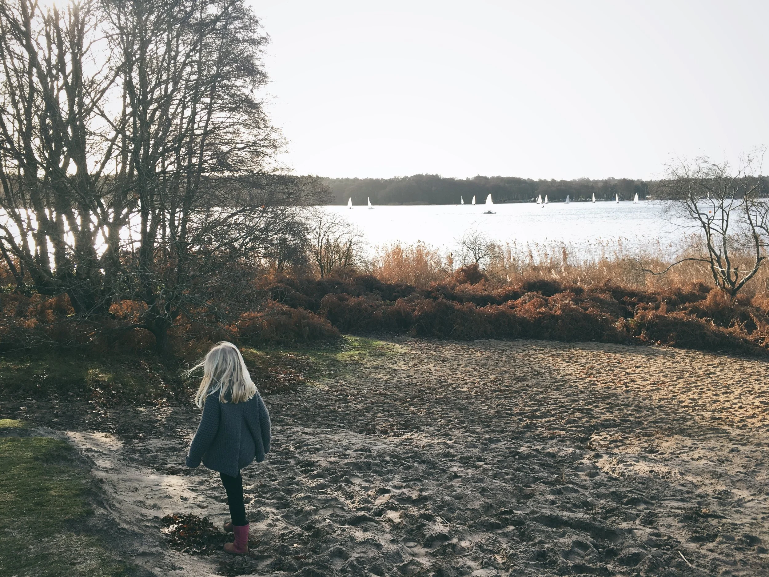 christmas 2016 | carolyn carter blog