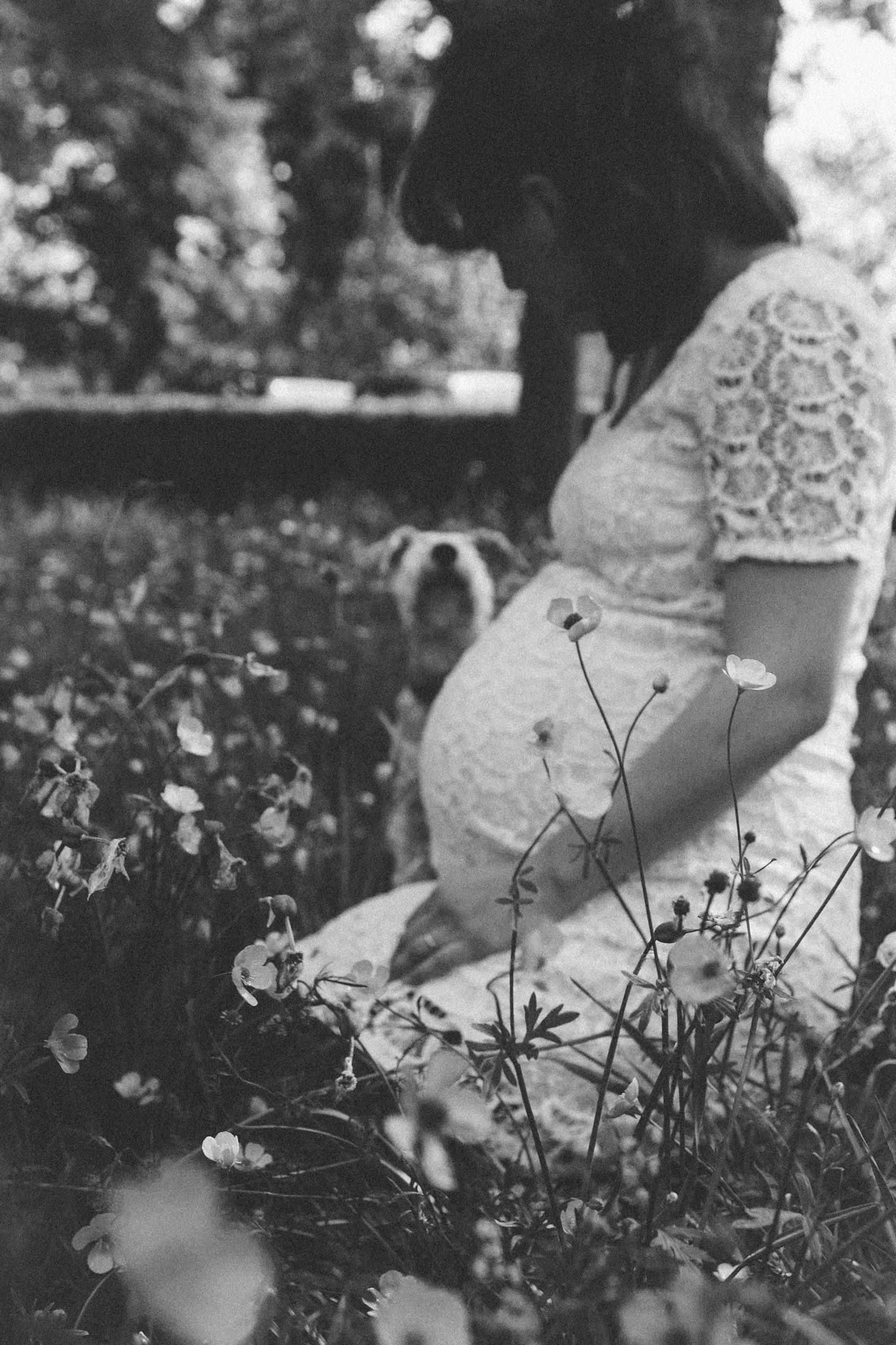Pregnancy shoot | carolyn carter blog