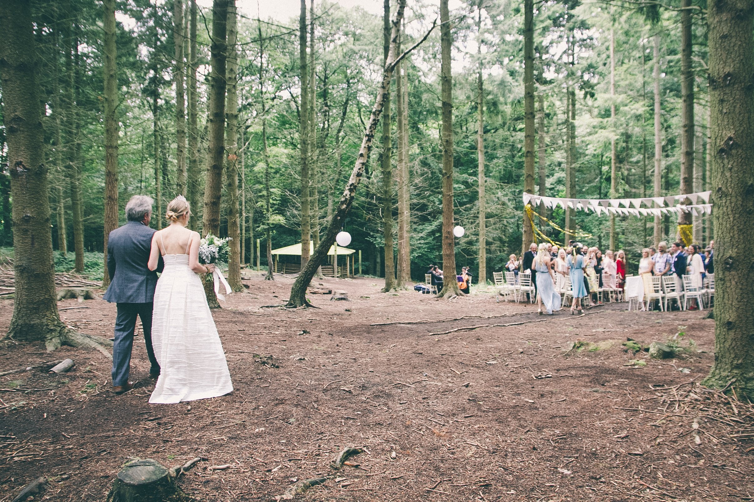 Magical Forest Wedding | Carolyn Carter Photography