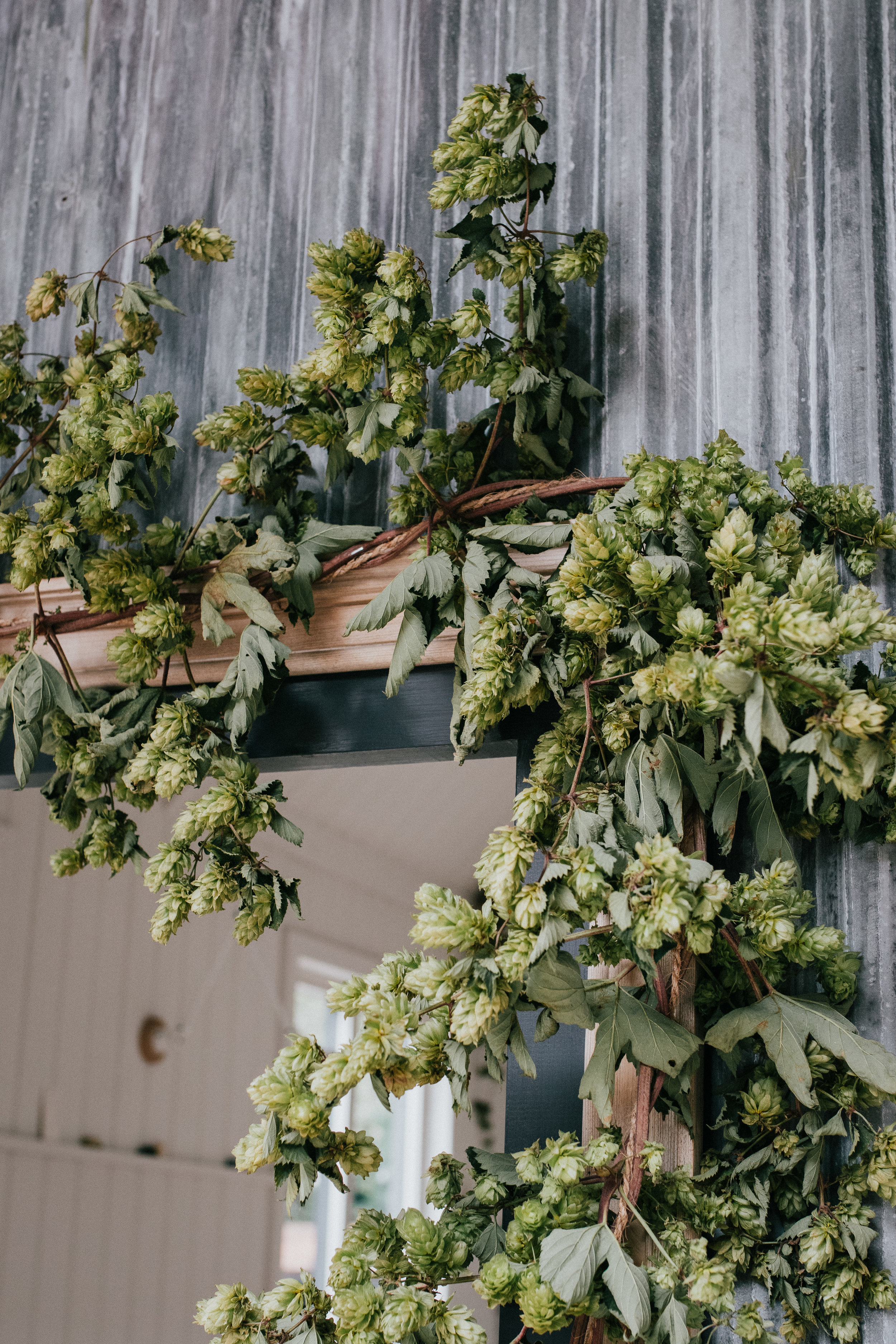 Cathryn & Ben Bailey - Wedding Photography by Carolyn Carter