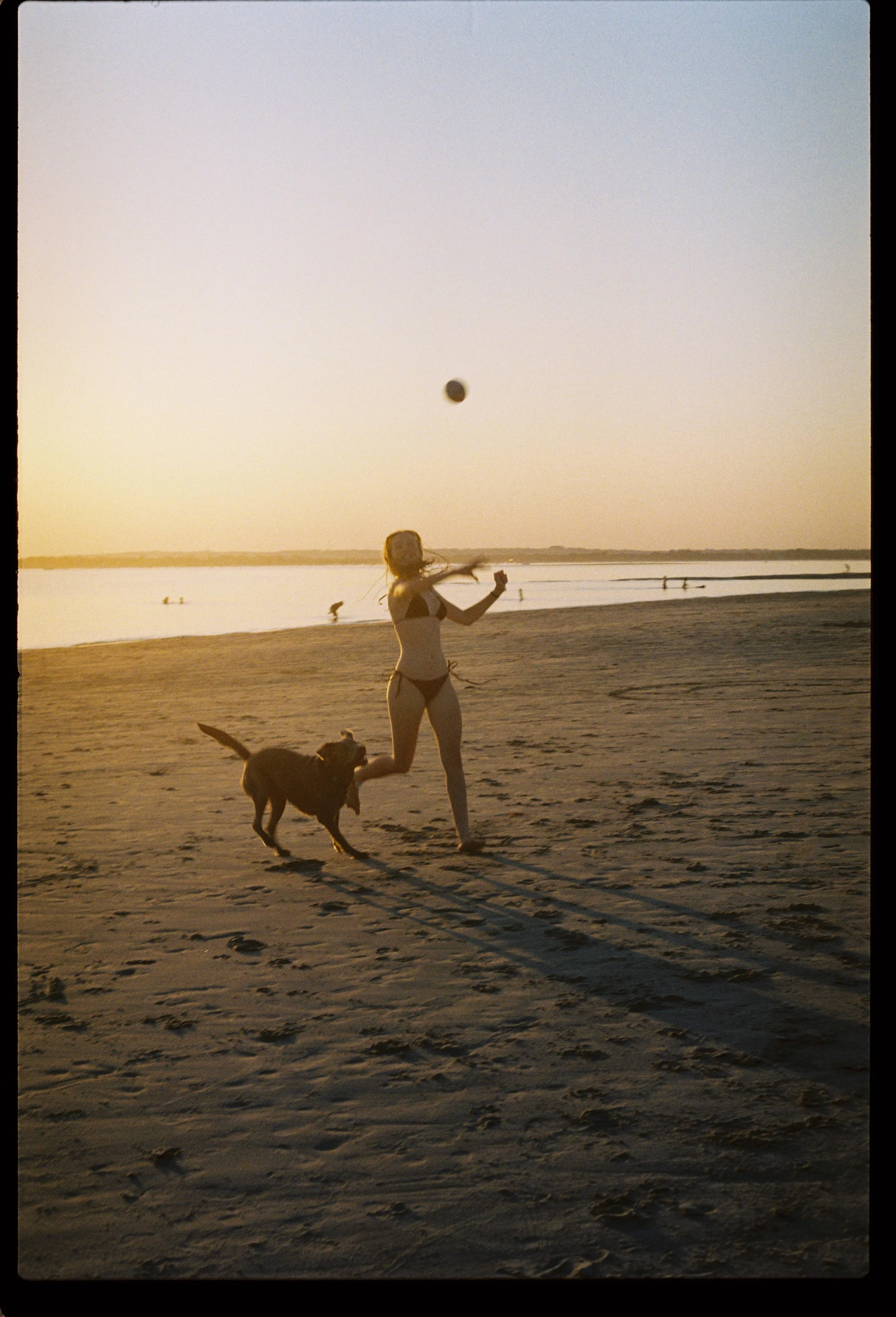 summer holiday on the south coast - photography by Carolyn Carter