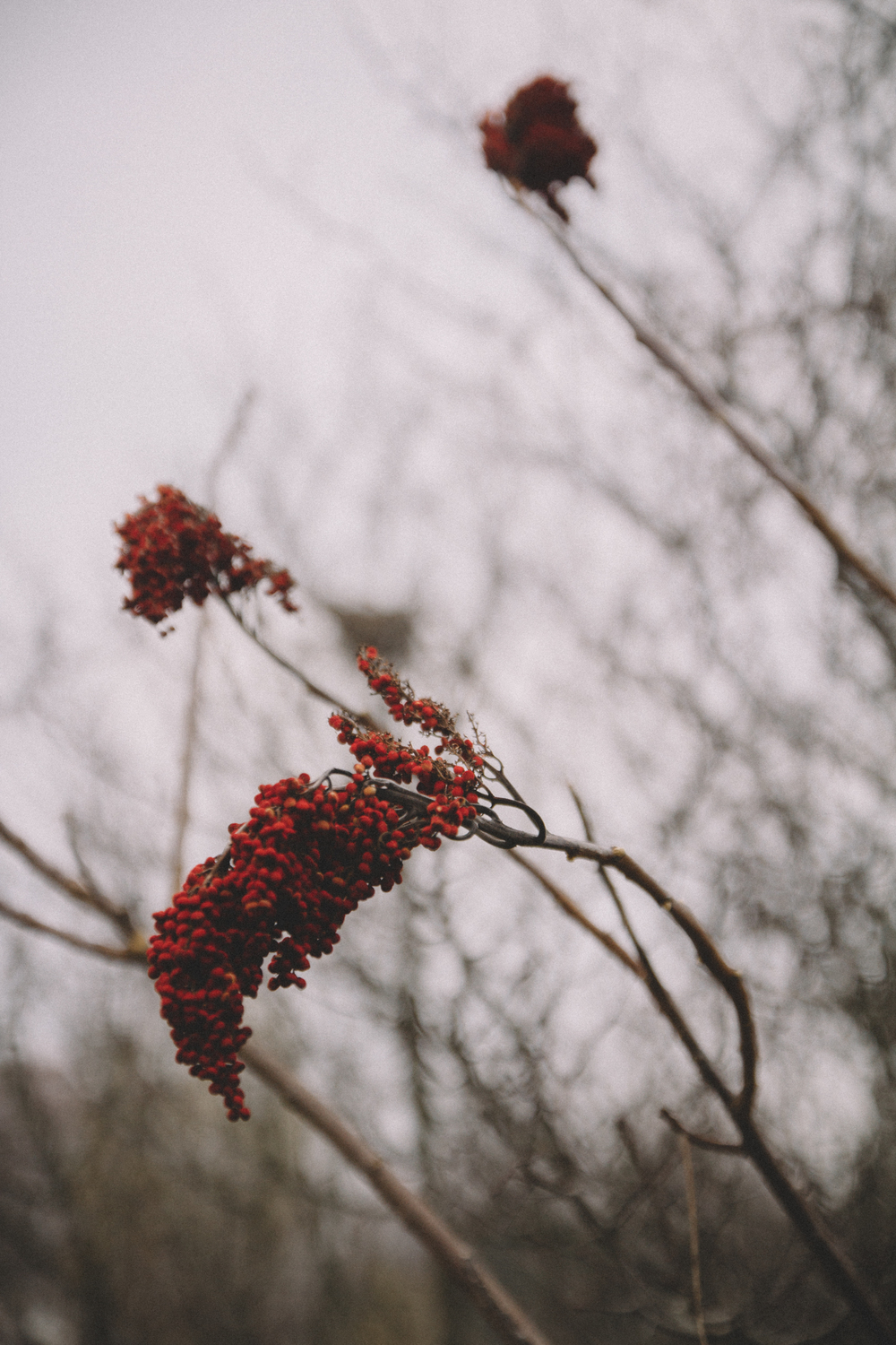 20141115_1482.jpg