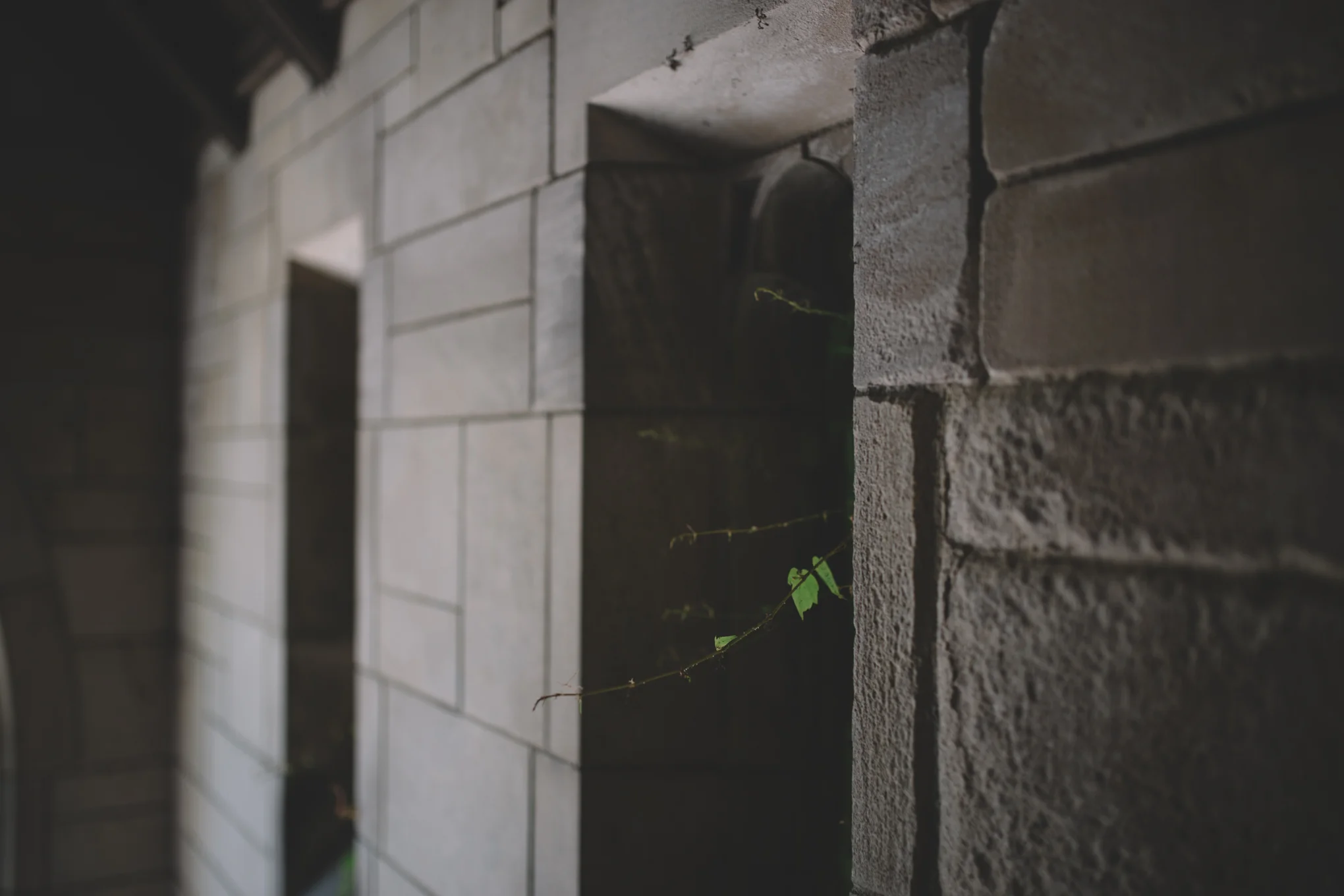 150620_6558.jpg