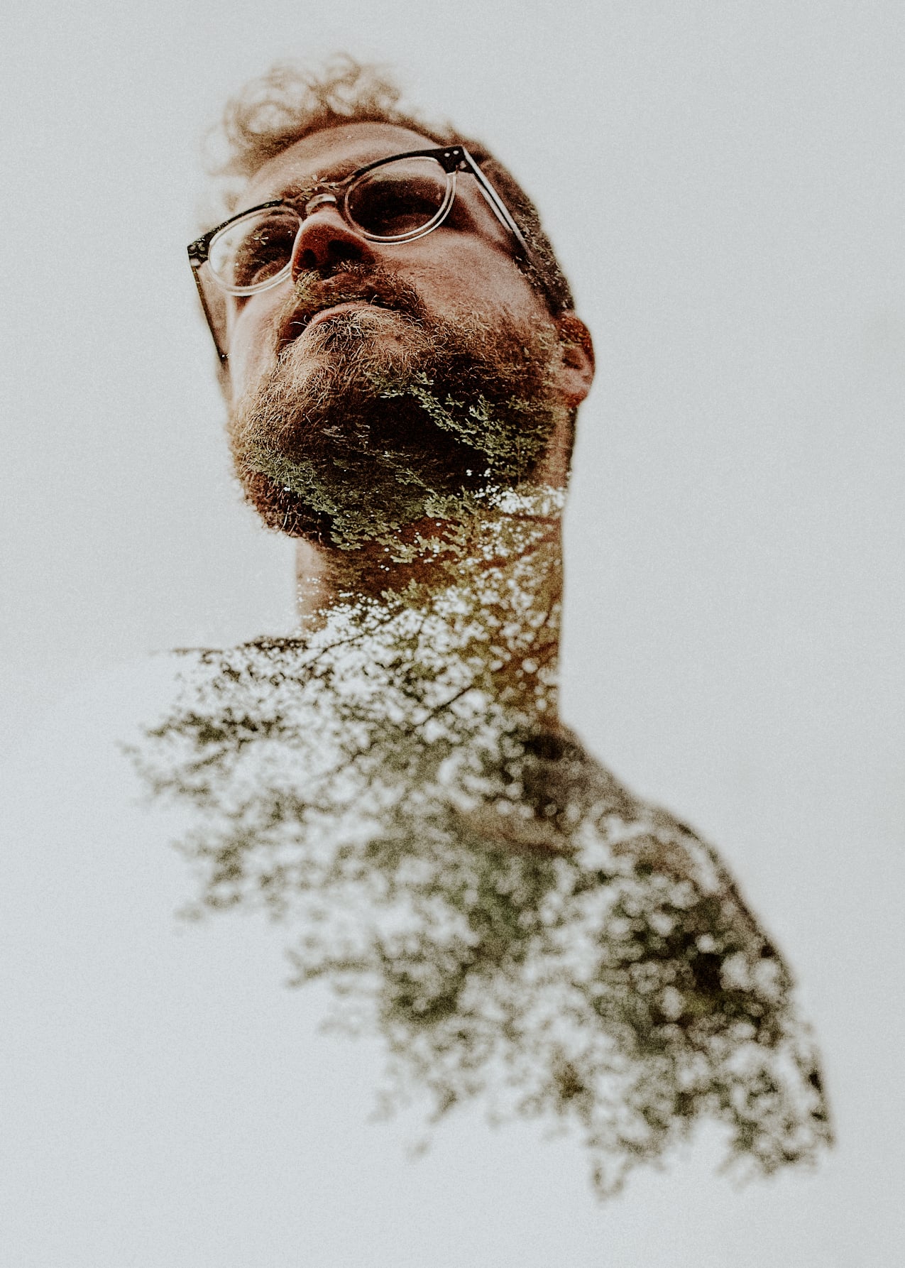 TreeBeard2 copy.jpg